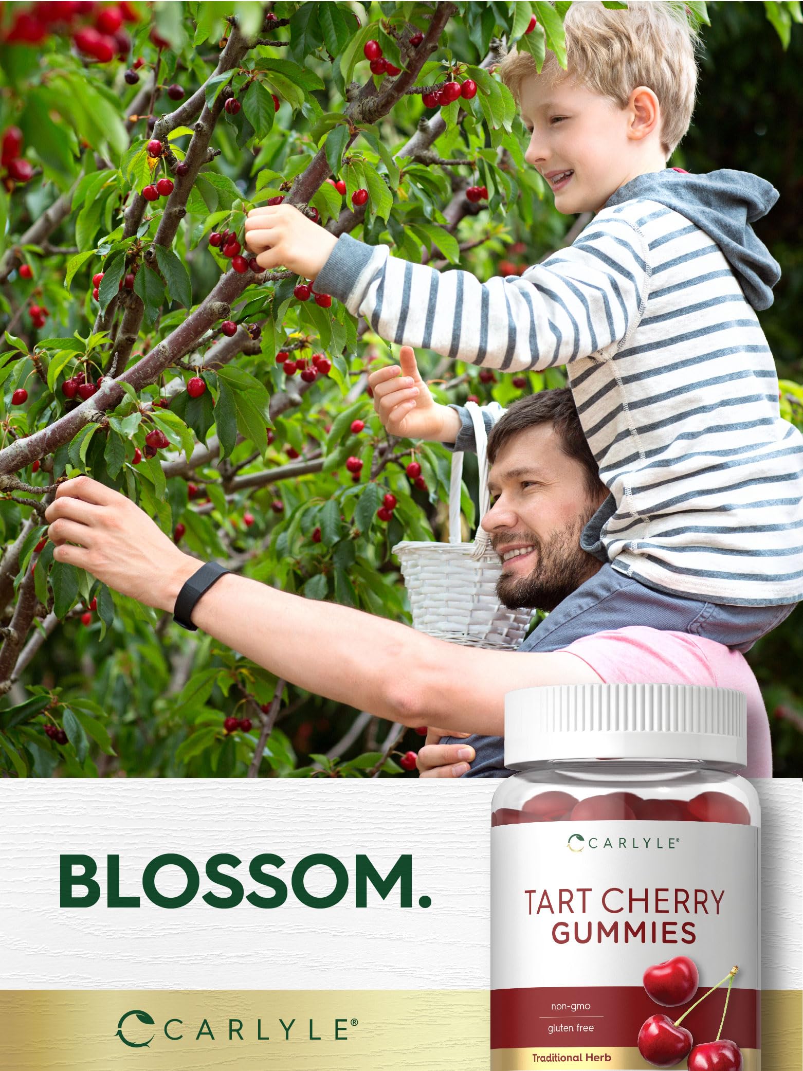 Foto 8 pulgar | Suplemento Carlyle Tart Cherry Gummies, 2000 Mg, 70 Unidades - Venta Internacional.