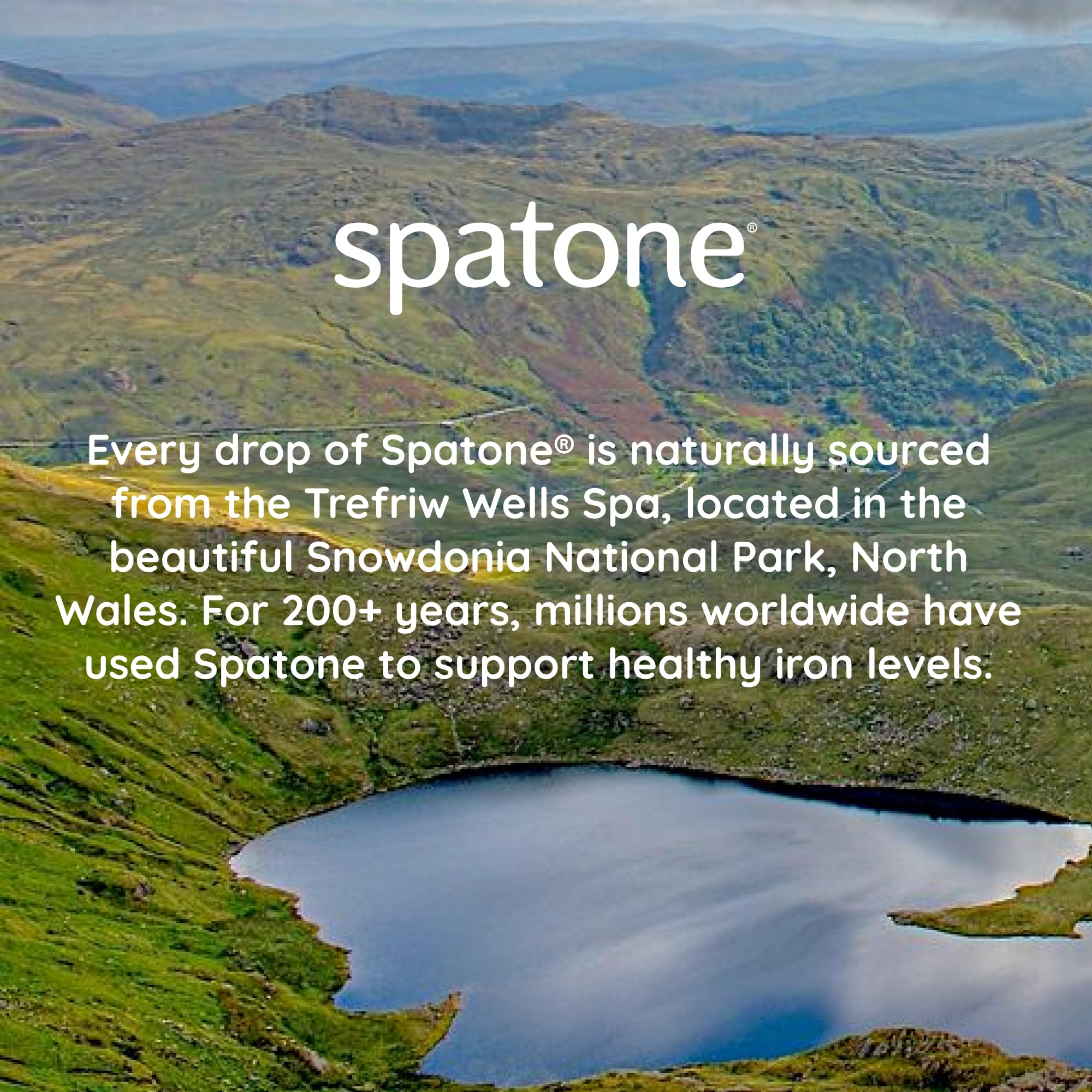 Foto 6 | Suplemento De Hierro Líquido Spatone Natural Bolsa De 5 Mg Para 28 Días - Venta Internacional