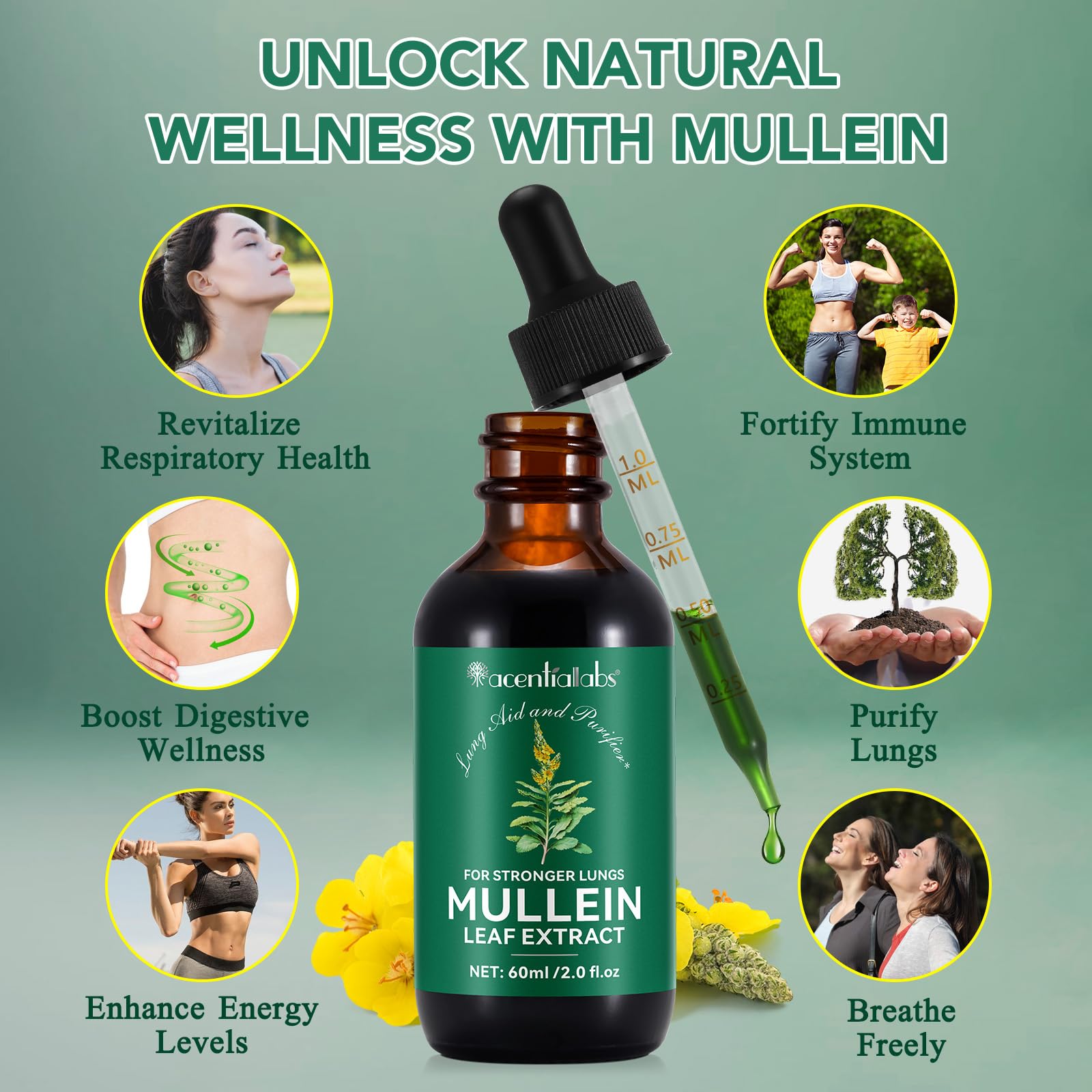 Foto 2 | Suplemento De Extracto De Hoja De Gordolobo Para El Tratamiento Pulmonar, 60 Ml, Suministro Para 1 Mes - Venta Inte