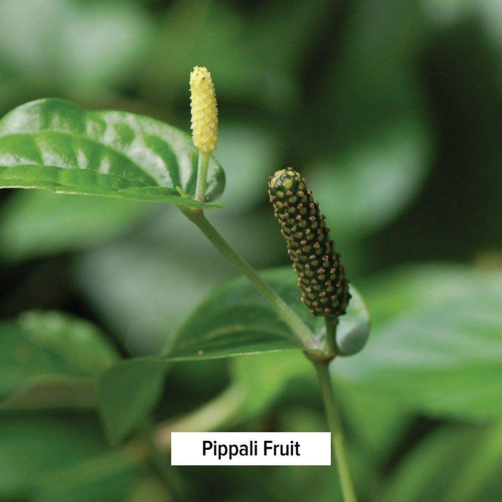 Foto 6 pulgar | Churna Powder Banyan Botanicals Sitopaladi Respiratory Support - Venta Internacional.