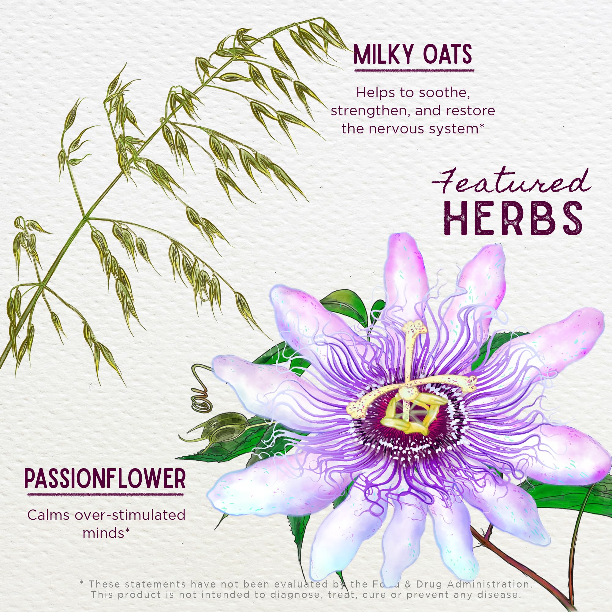 Foto 4 | Suplemento Para Aliviar El Estrés Wishgarden Herbs Stress Release 60 Ml - Venta Internacional.