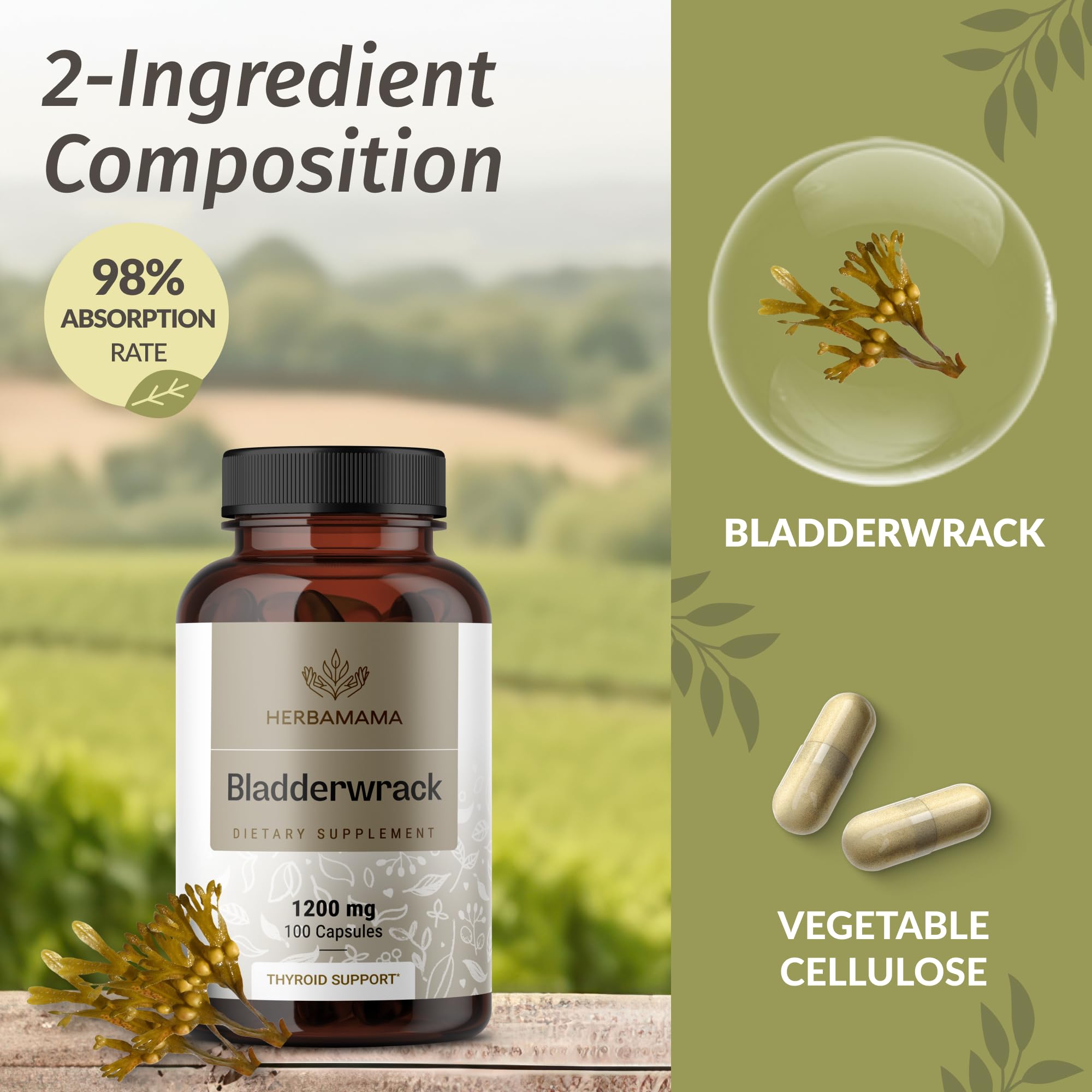 Foto 5 pulgar | Suplemento Herbamama Bladderwrack En Cápsulas De 1200 Mg De Yodo Marino - Venta Internacional.