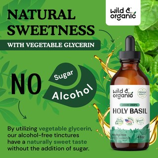 Foto 6 | Tintura De Albahaca Sagrada Silvestre Y Orgánica 118 Ml Con Extracto De Hoja De Albahaca - Venta Internacional.