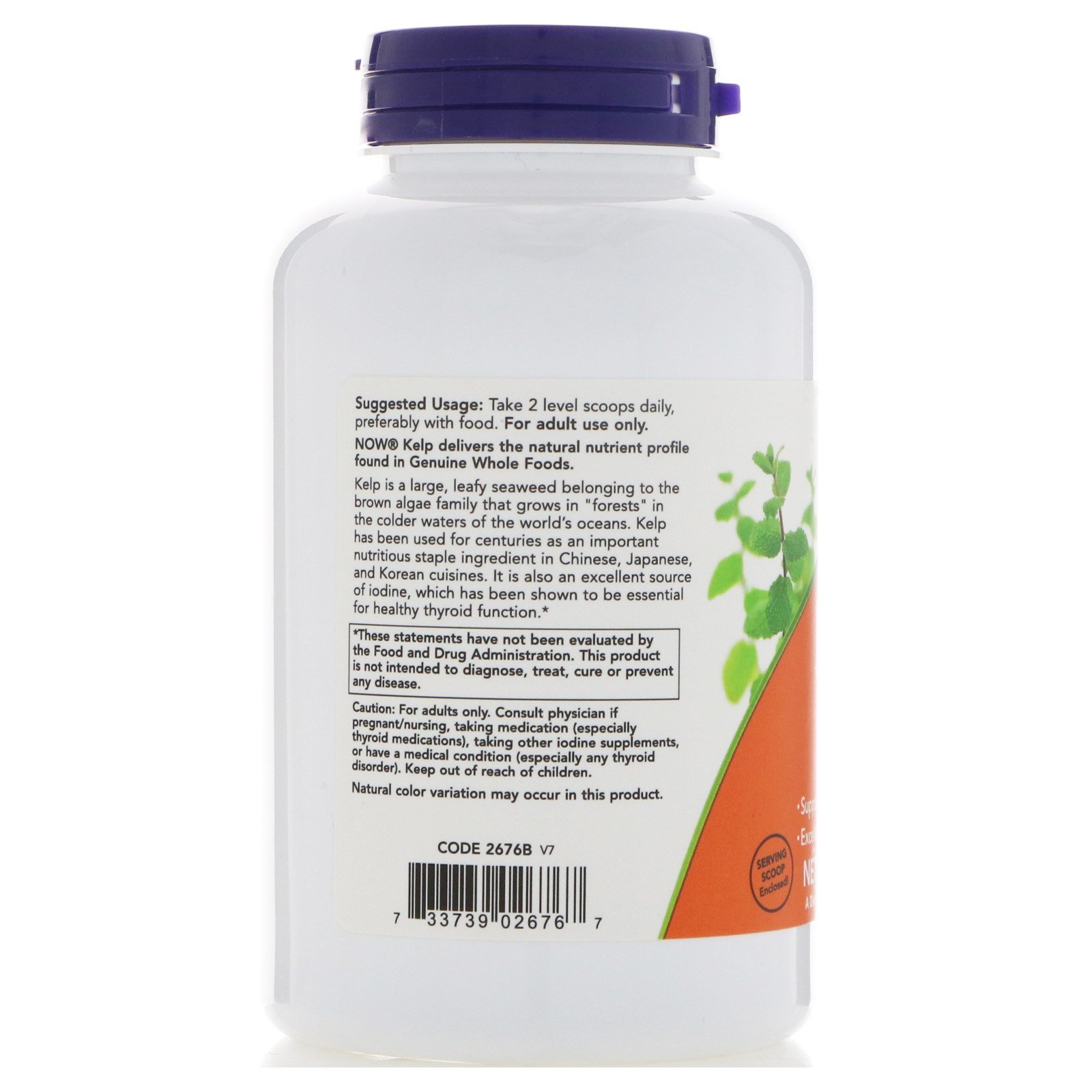 Foto 4 pulgar | Kelp Powder Now Foods Norwegian Organic 240 Ml - Venta Internacional.