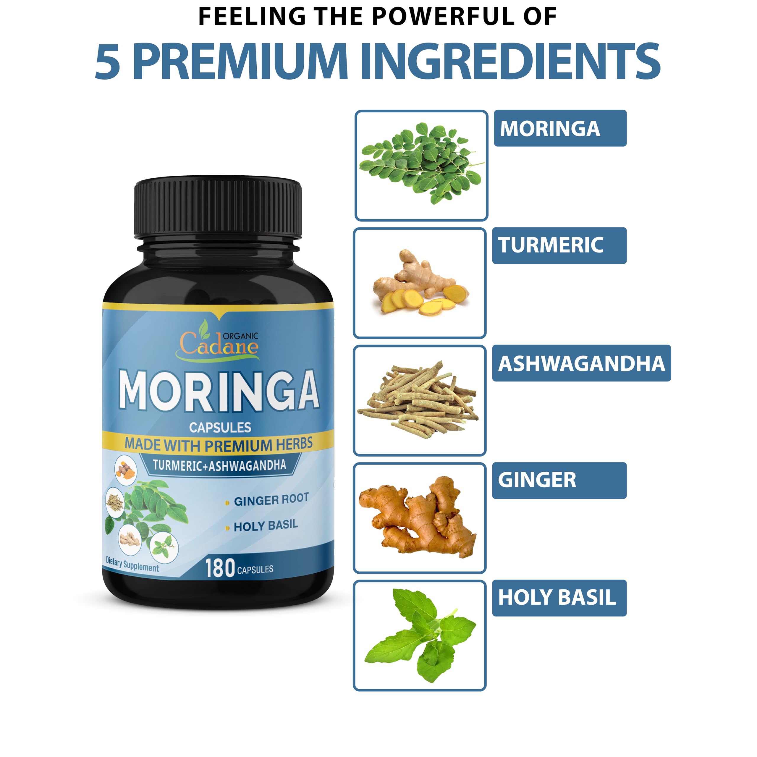 Foto 2 | Suplemento Orgánico De Extracto De Moringa De Cadane (6450 Mg) - Venta Internacional.