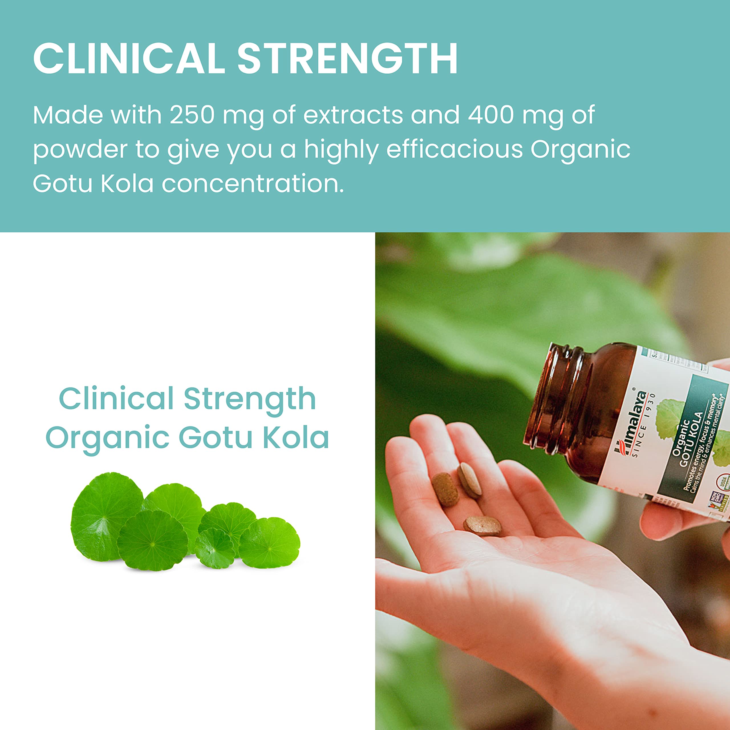 Foto 7 pulgar | Suplemento Himalaya Organic Gotu Kola 90 Cápsulas - Venta Internacional.