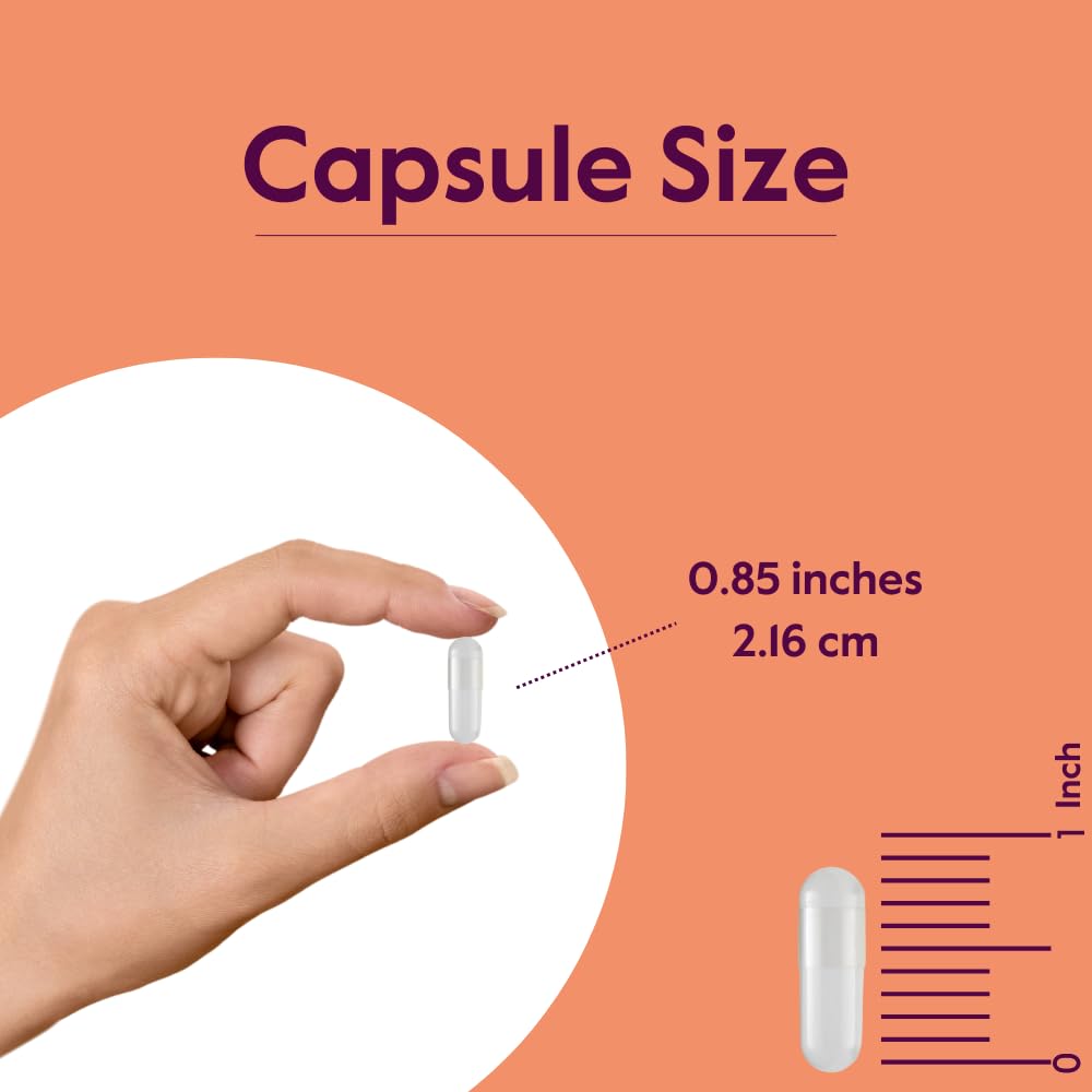 Foto 6 pulgar | Suplemento Bestvite L-fenilalanina 500 Mg (240 Cápsulas) X2 - Venta Internacional.