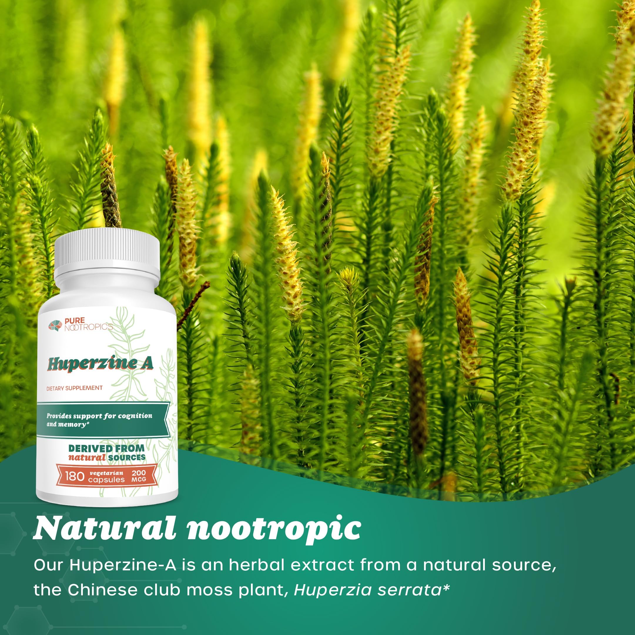 Foto 7 pulgar | Suplemento Pure Nootropics Huperzine A 200 Mcg 180 Cápsulas - Venta Internacional.