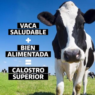 Foto 7 | Suplemento Alimenticio Beyond Vitamins Calostro Bovino Grass Fed De Libre Pastoreo 1000 Mg Bovine Colostrum 60 Cápsulas