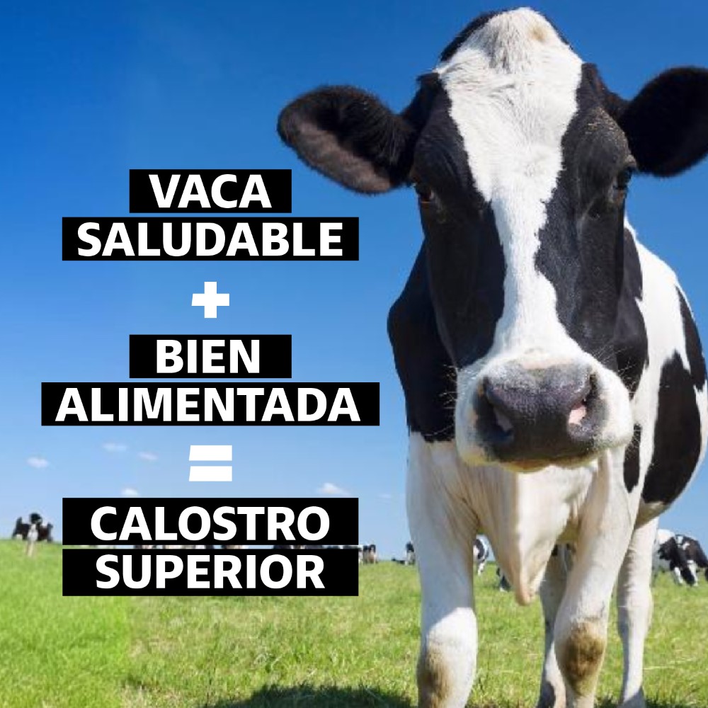 Foto 8 pulgar | Suplemento Alimenticio Beyond Vitamins Calostro Bovino Grass Fed De Libre Pastoreo 1000 Mg Bovine Colostrum 180 Cápsula