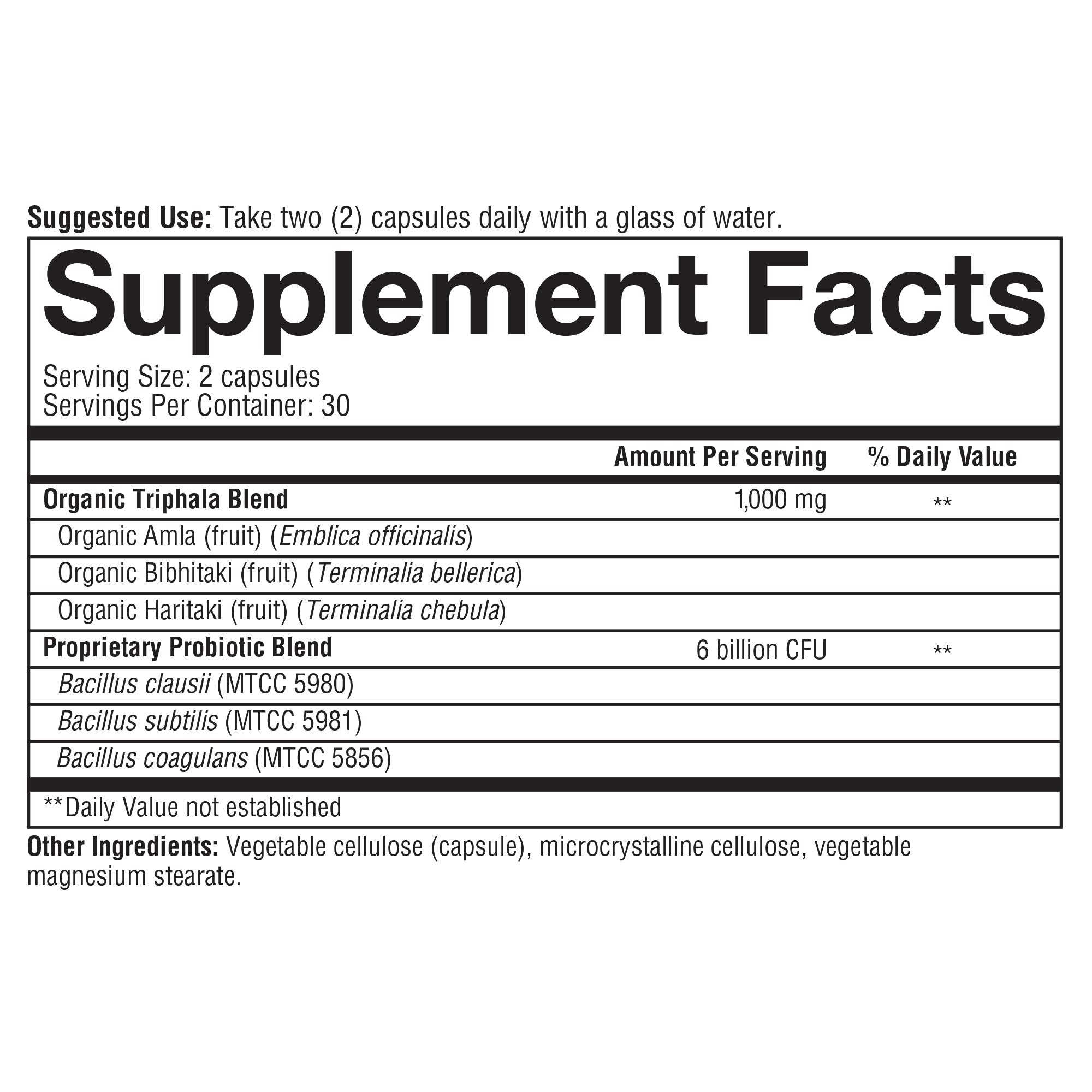 Foto 6 pulgar | Suplemento Youtheory Spore Probiotic De 6 Mil Millones De Cfu - Venta Internacional.