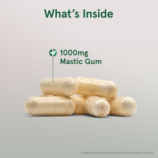Foto 3 | Suplemento Jarrow Formulas Mastic Gum 1000 Mg 60 Cápsulas - Venta Internacional.