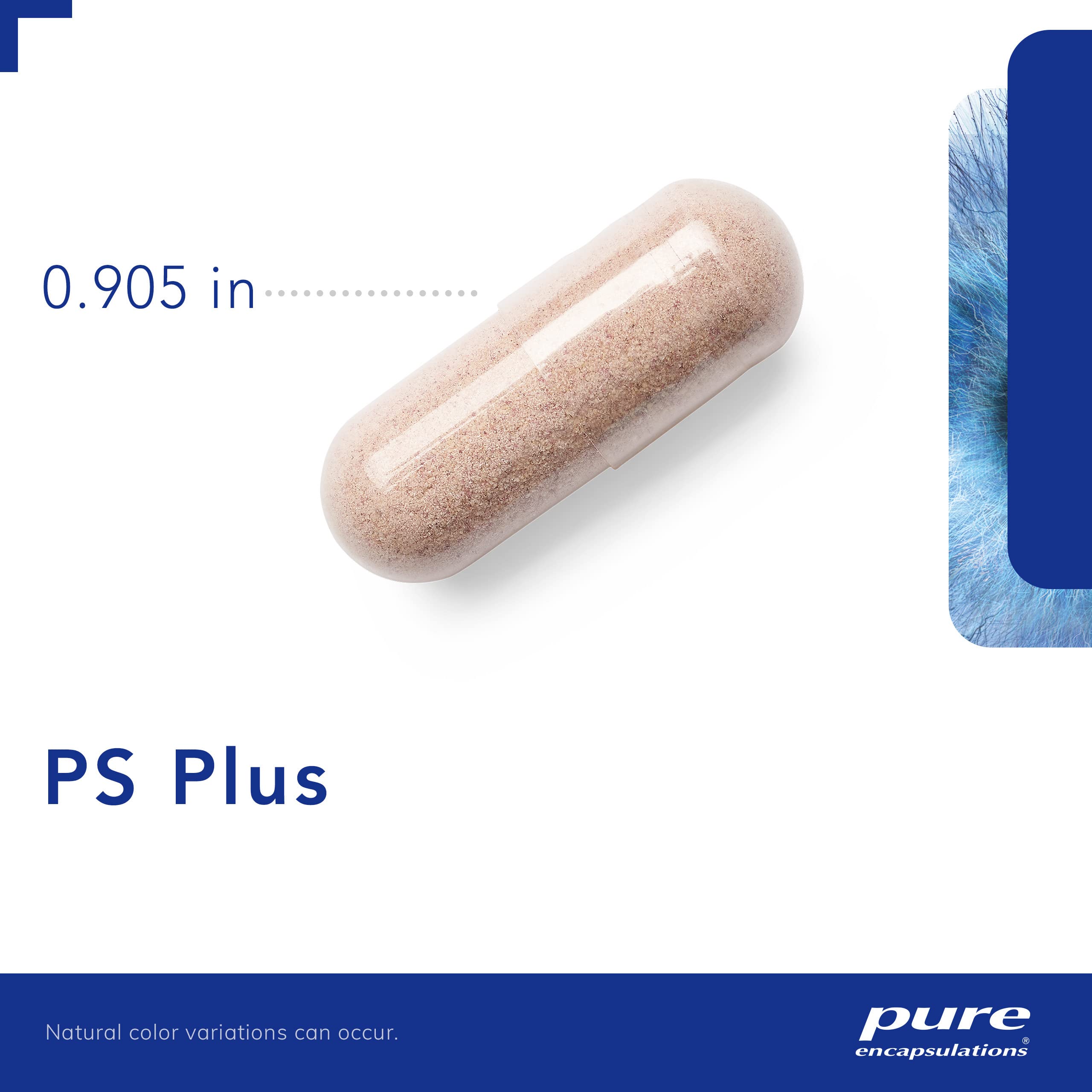 Foto 4 pulgar | Suplemento Pure Encapsulations Ps Plus Memory 60 Cápsulas - Venta Internacional.