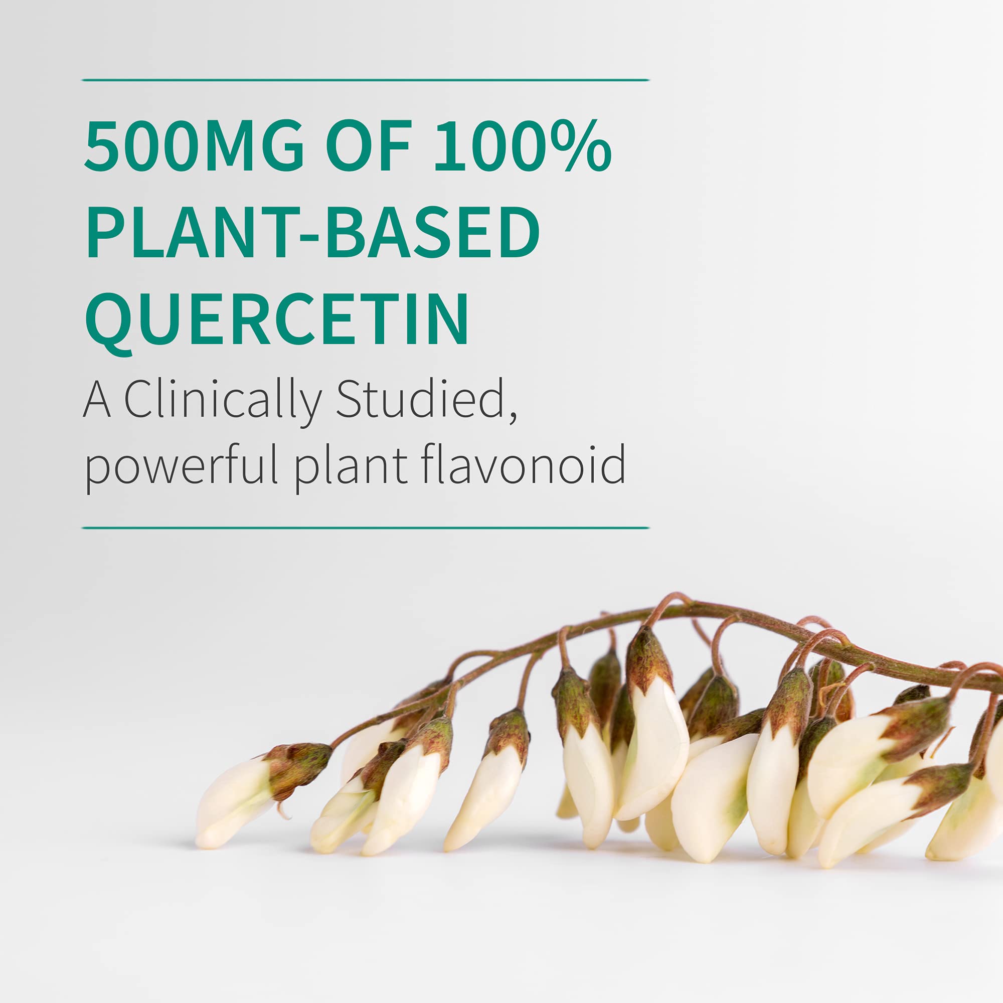 Foto 8 pulgar | Suplemento Garden Of Life Quercetin Immune System 30 Comprimidos - Venta Internacional.