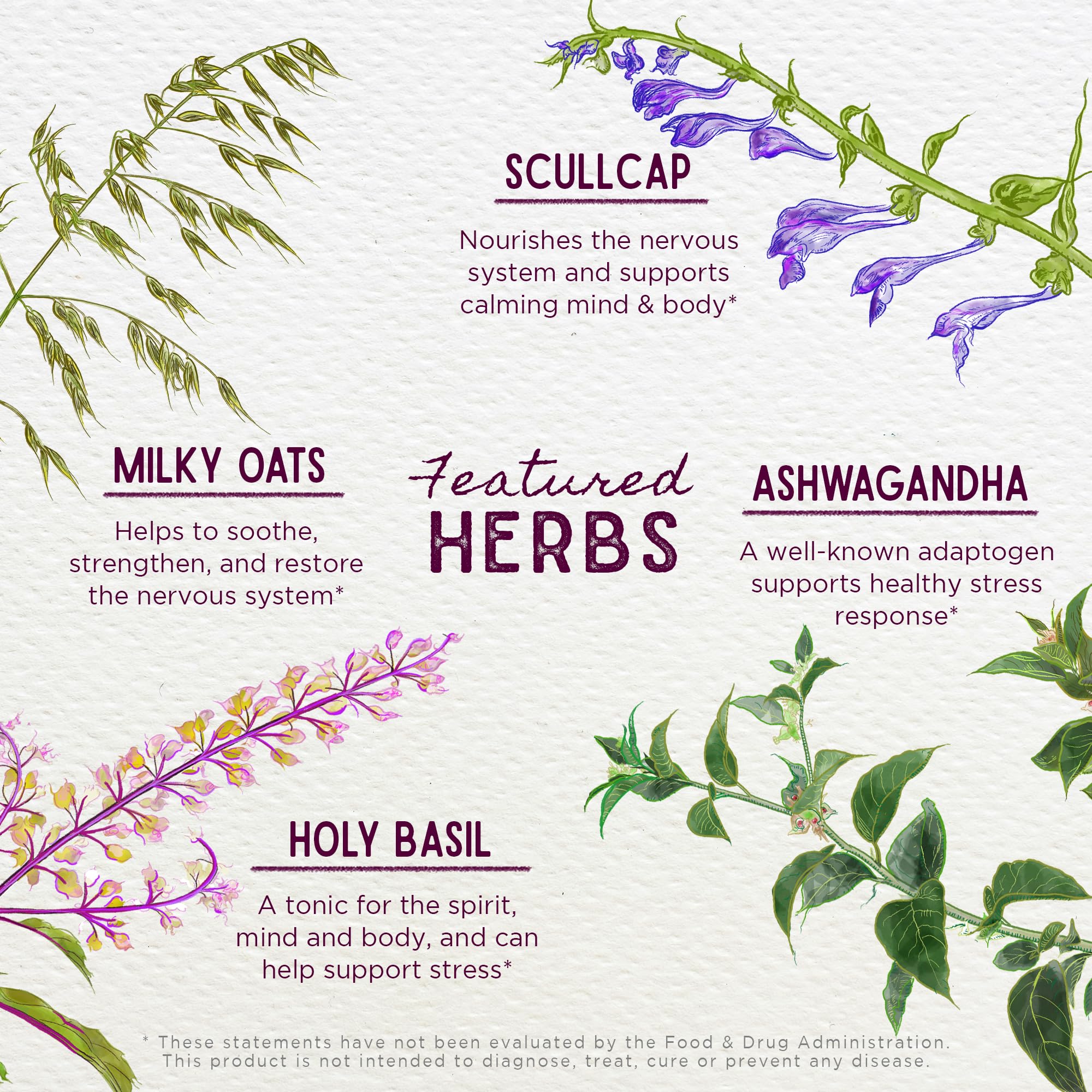 Foto 5 pulgar | Suplemento Wishgarden Herbs Deep Stress Con Ashwagandha 120 Ml - Venta Internacional.