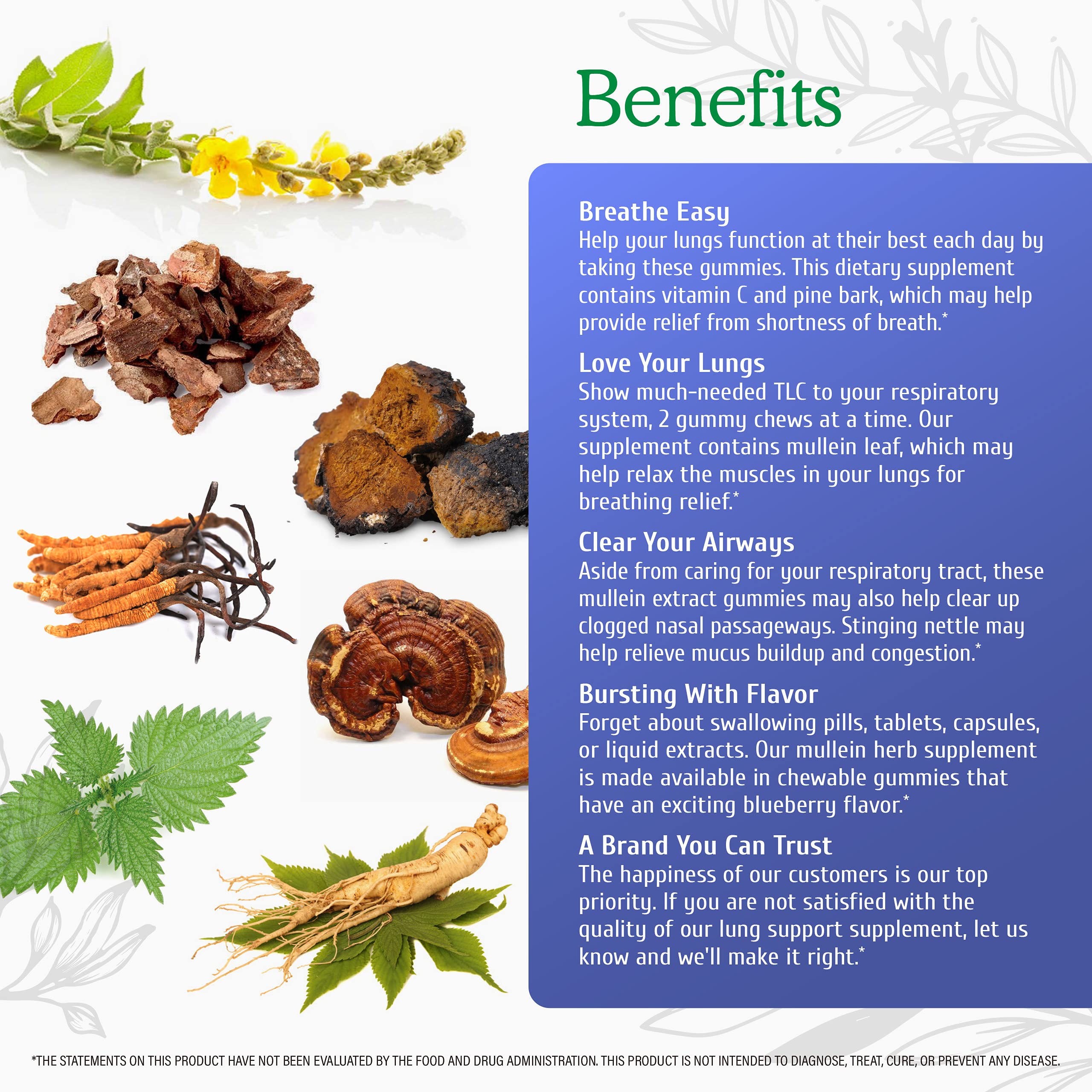 Foto 4 pulgar | Suplemento Dietético Wild & Organic Lung Health Support Gummie - Venta Internacional.