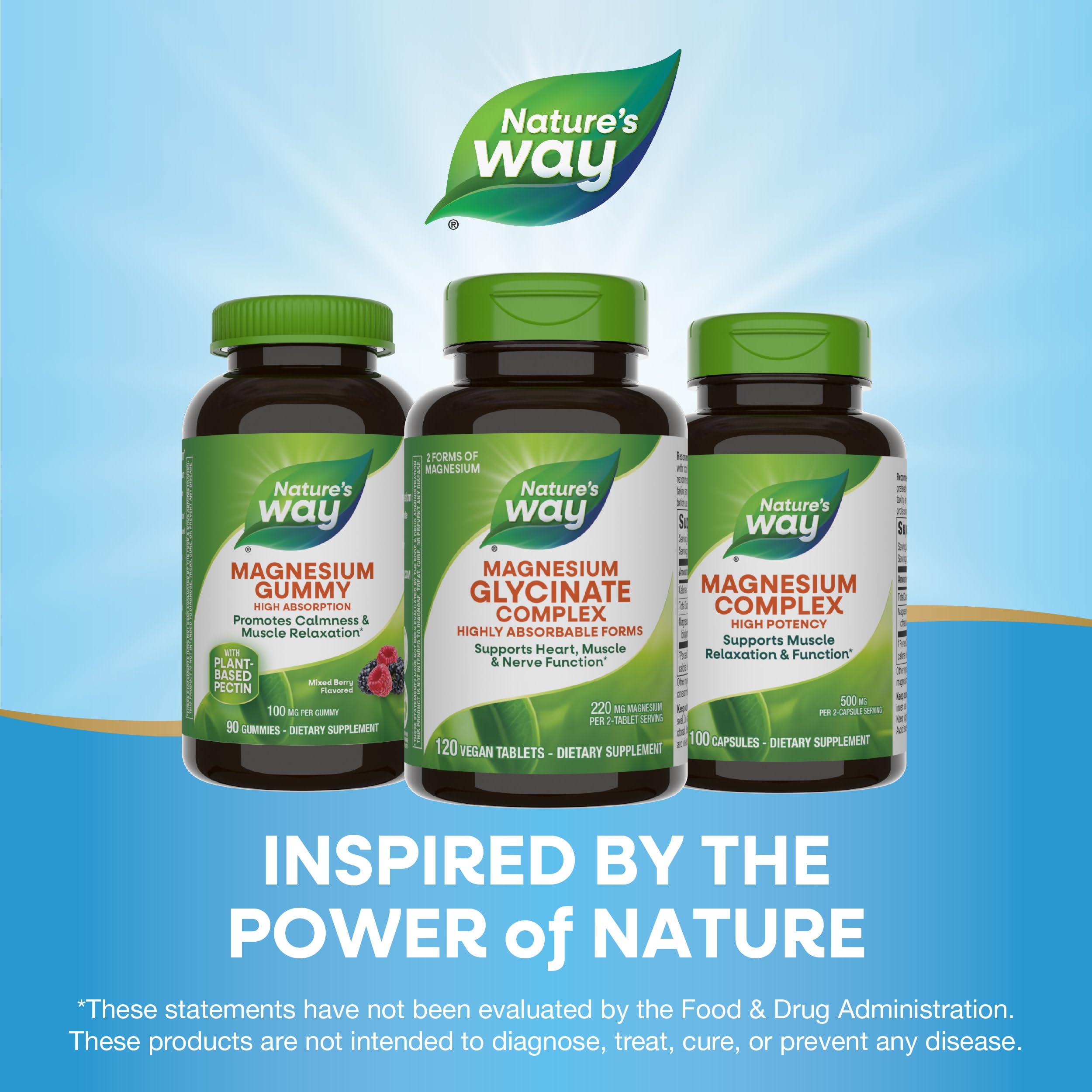 Foto 7 pulgar | Suplemento De Glicinato De Magnesio Nature's Way 220 Mg 120 Tabletas - Venta Internacional.
