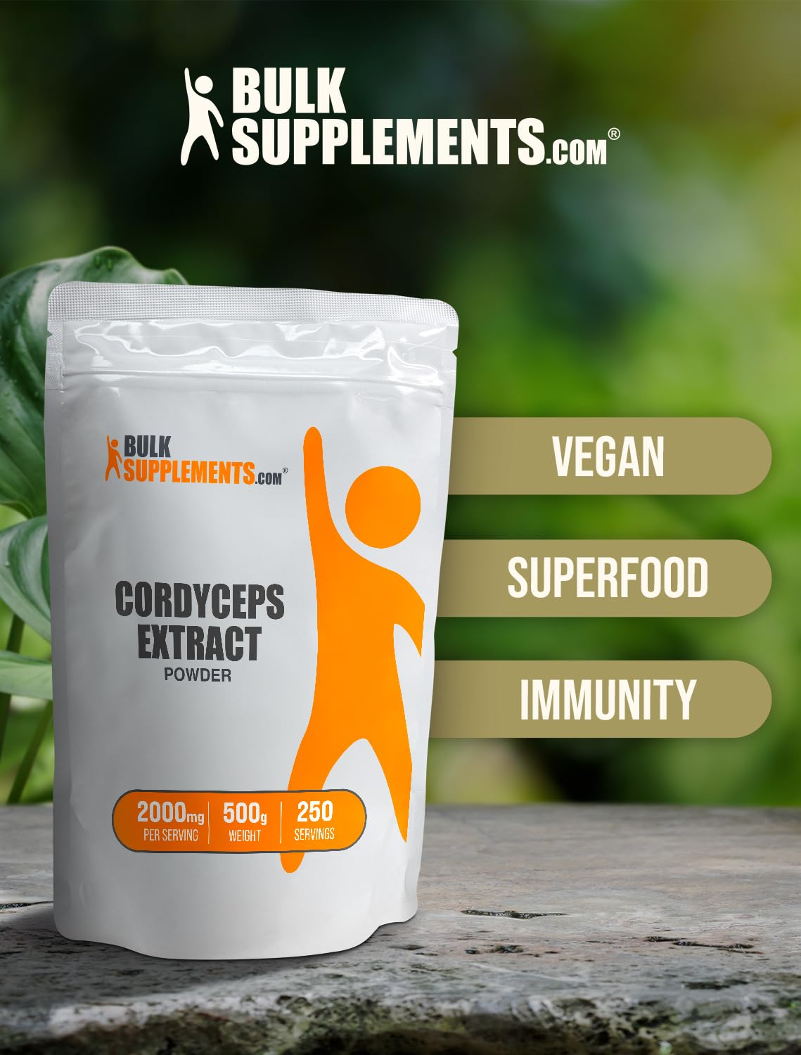 Foto 6 pulgar | Suplemento Bulksupplements Extracto de Hongo 500 g-Venta Internacional