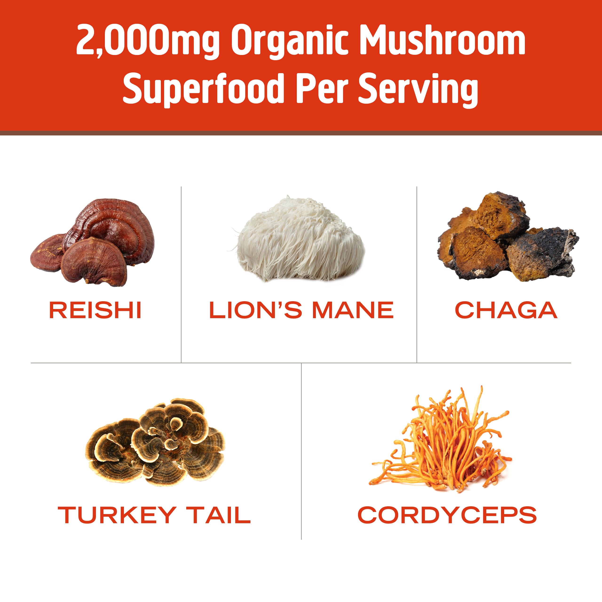 Foto 5 pulgar | Bebida De Hongos En Polvo Om Mushroom Superfood Morning Energy - Venta Internacional.