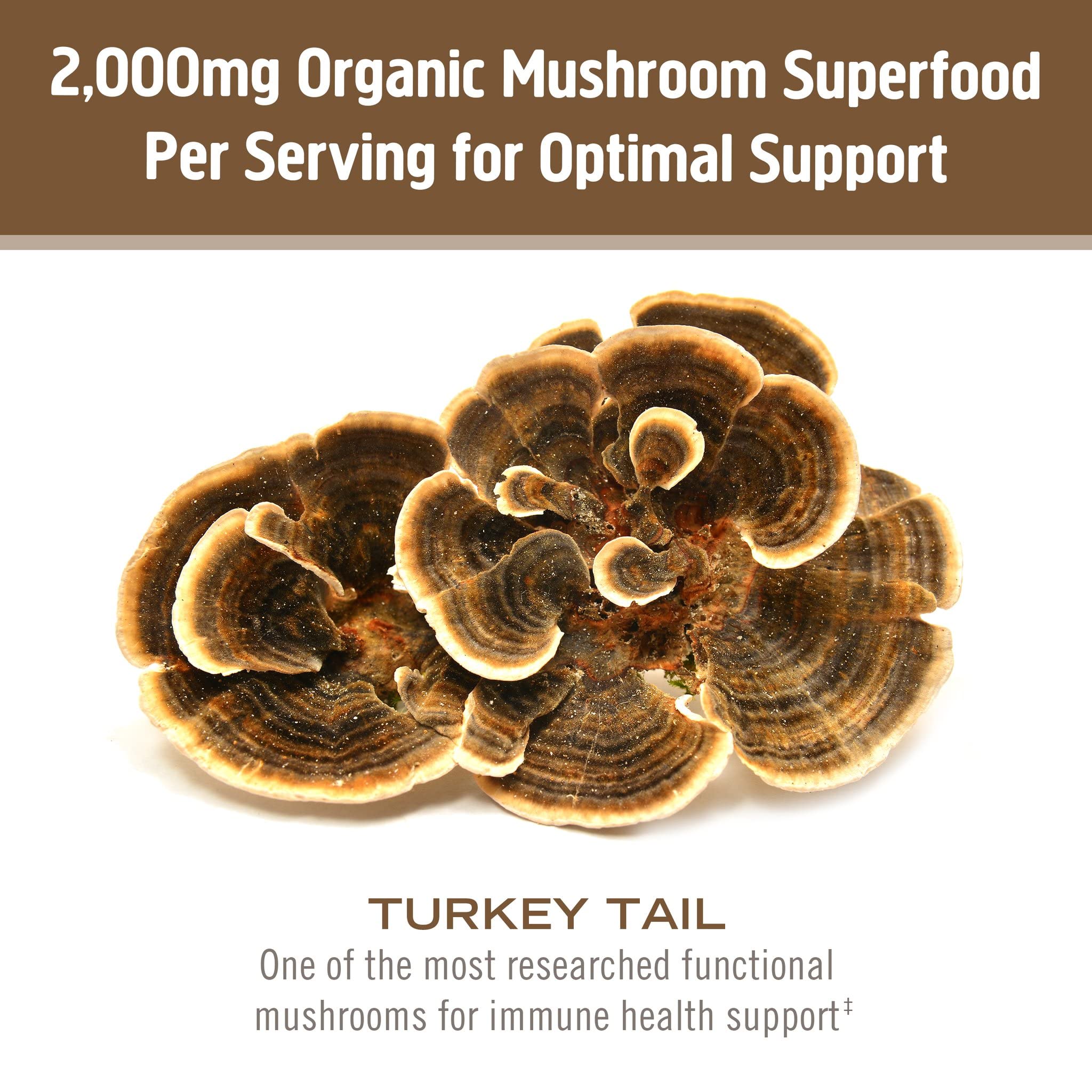 Foto 5 pulgar | Cola De Pavo Con Hongos Orgánicos Superfood Powder Om, 200 G - Venta Internacional.