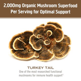 Foto 4 | Cola De Pavo Con Hongos Orgánicos Superfood Powder Om, 200 G - Venta Internacional.
