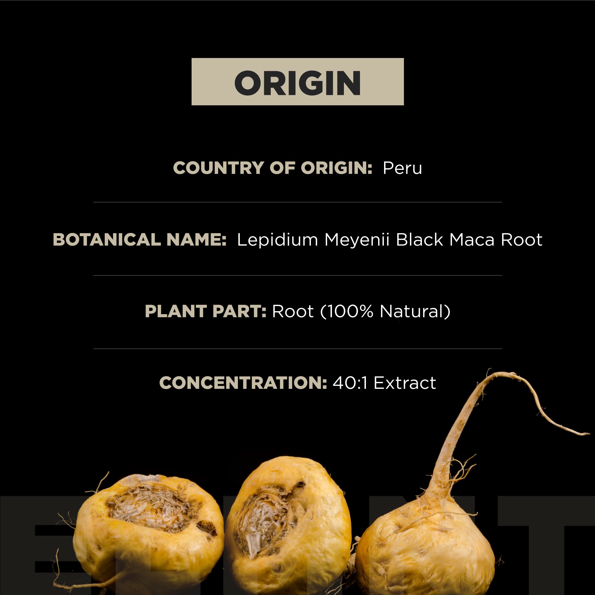 Foto 5 pulgar | Suplemento De Raíz De Maca Negra Orgánica Terra Elmnt 60 Cápsulas- Venta Internacional