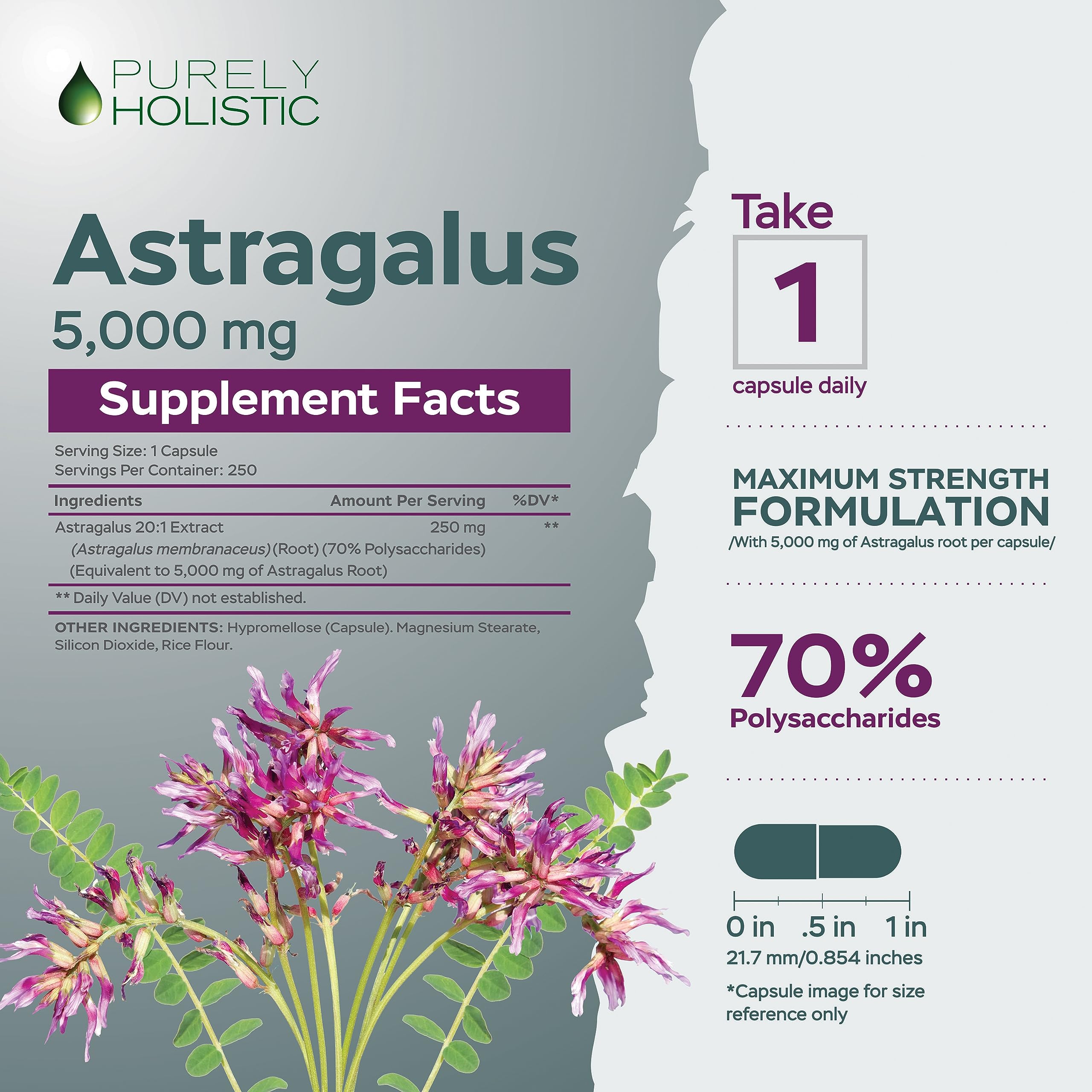Foto 4 pulgar | Suplemento De Astrágalo Purely Holistic 5000 Mg 250 Cápsulas - Venta Internacional.