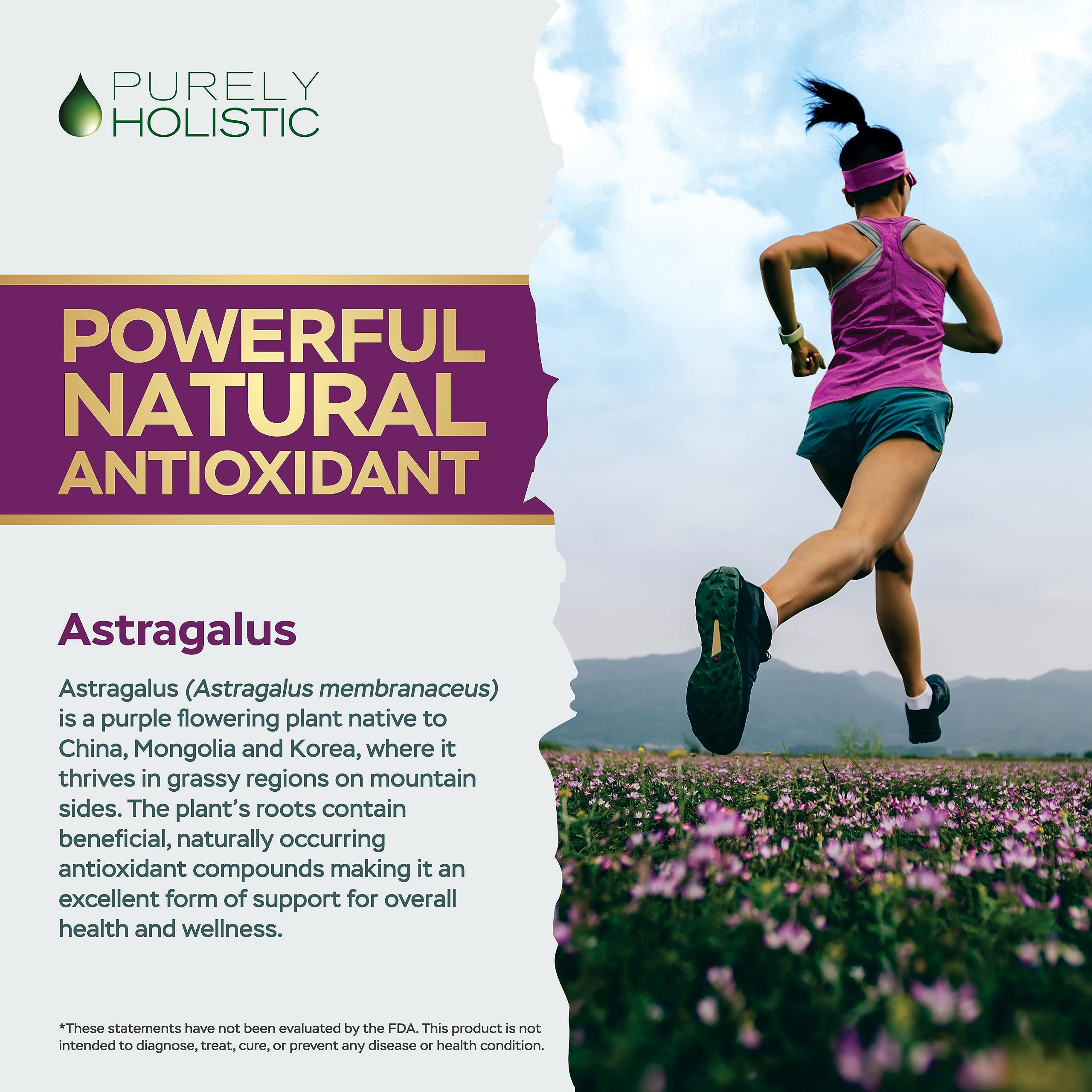 Foto 5 pulgar | Suplemento De Astrágalo Purely Holistic 5000 Mg 250 Cápsulas - Venta Internacional.