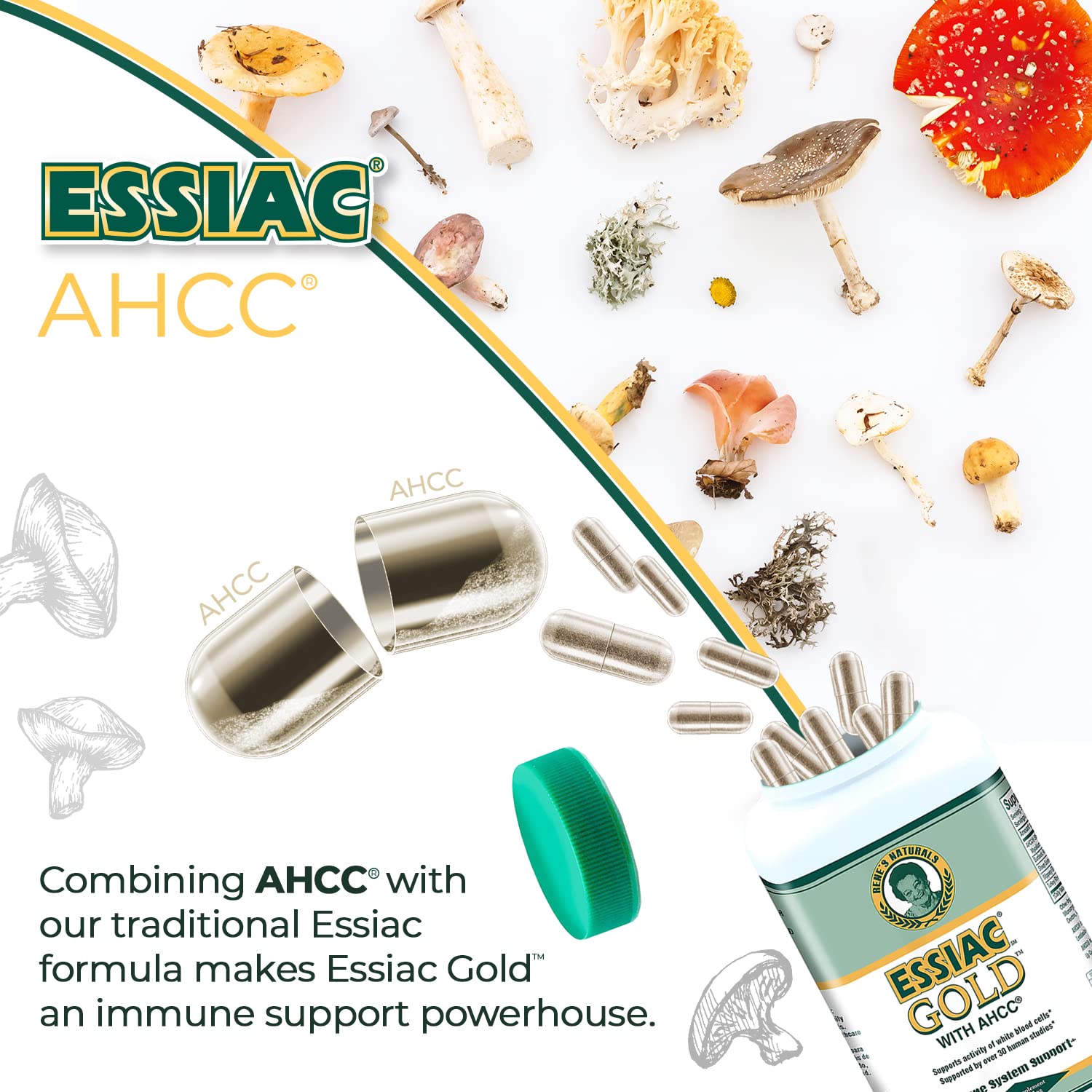 Foto 6 pulgar | Suplemento De Extracto De Oro De Essiac Con Hongos Ahcc, 60 Cápsulas - Venta Internacional.