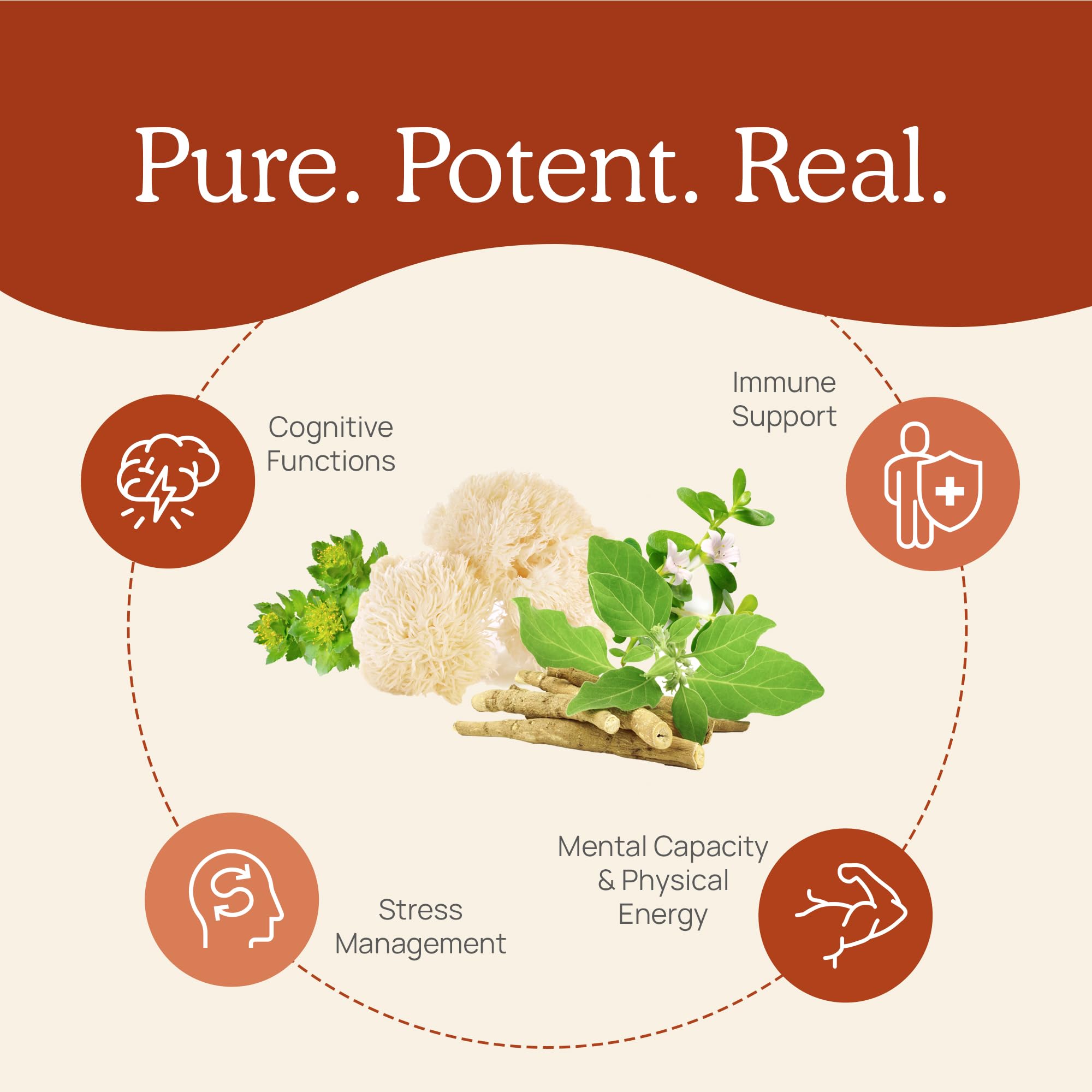 Foto 5 pulgar | Suplemento Real Mushrooms Realclarity Mushroom Powder Capsula - Venta Internacional.