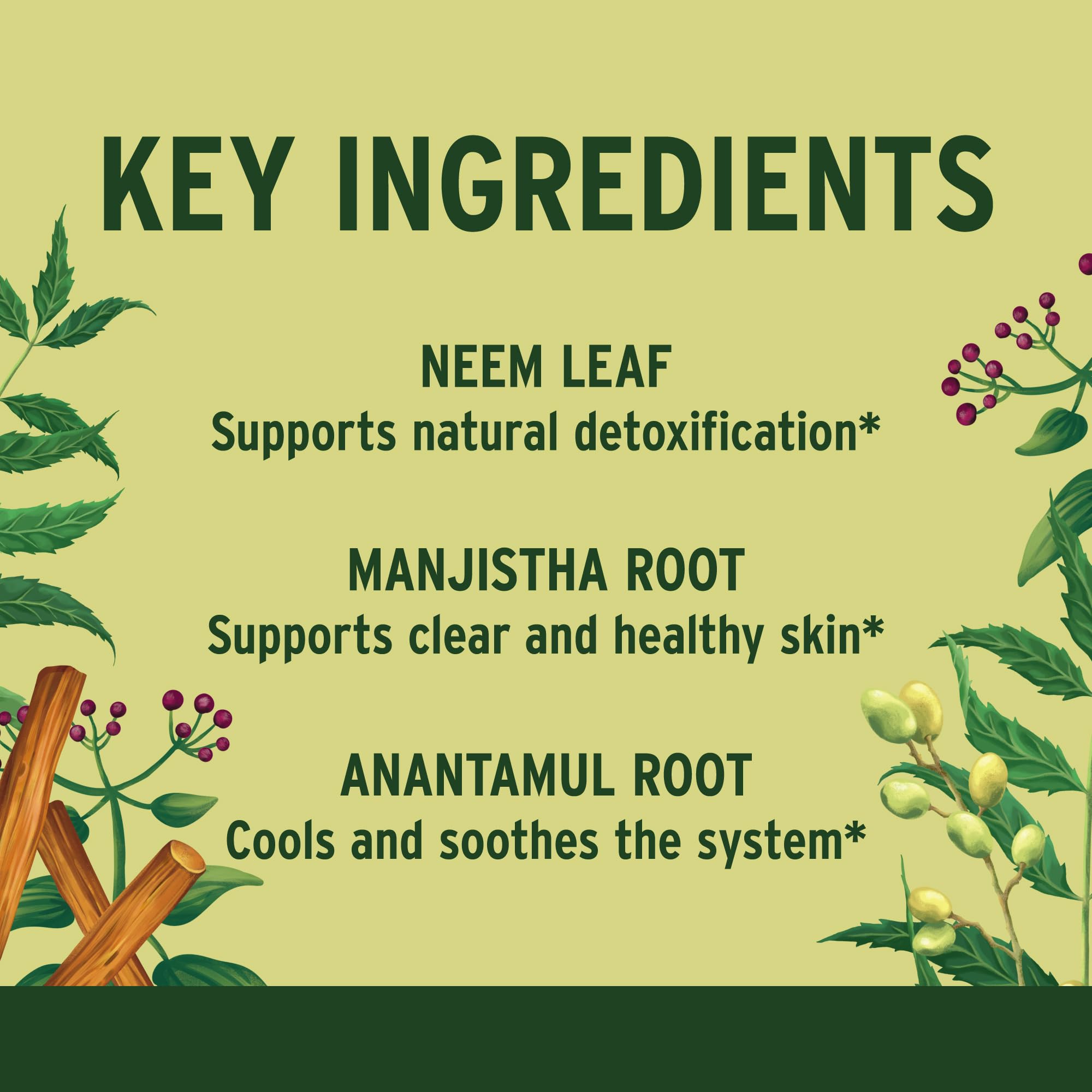 Foto 6 pulgar | Suplemento Banyan Botanicals Healthy Skin 90 Comprimidos - Venta Internacional.
