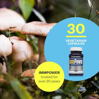 Foto 3 | Suplemento American Biosciences Immpower Ahcc Mushroom 500 Mg - Venta Internacional.