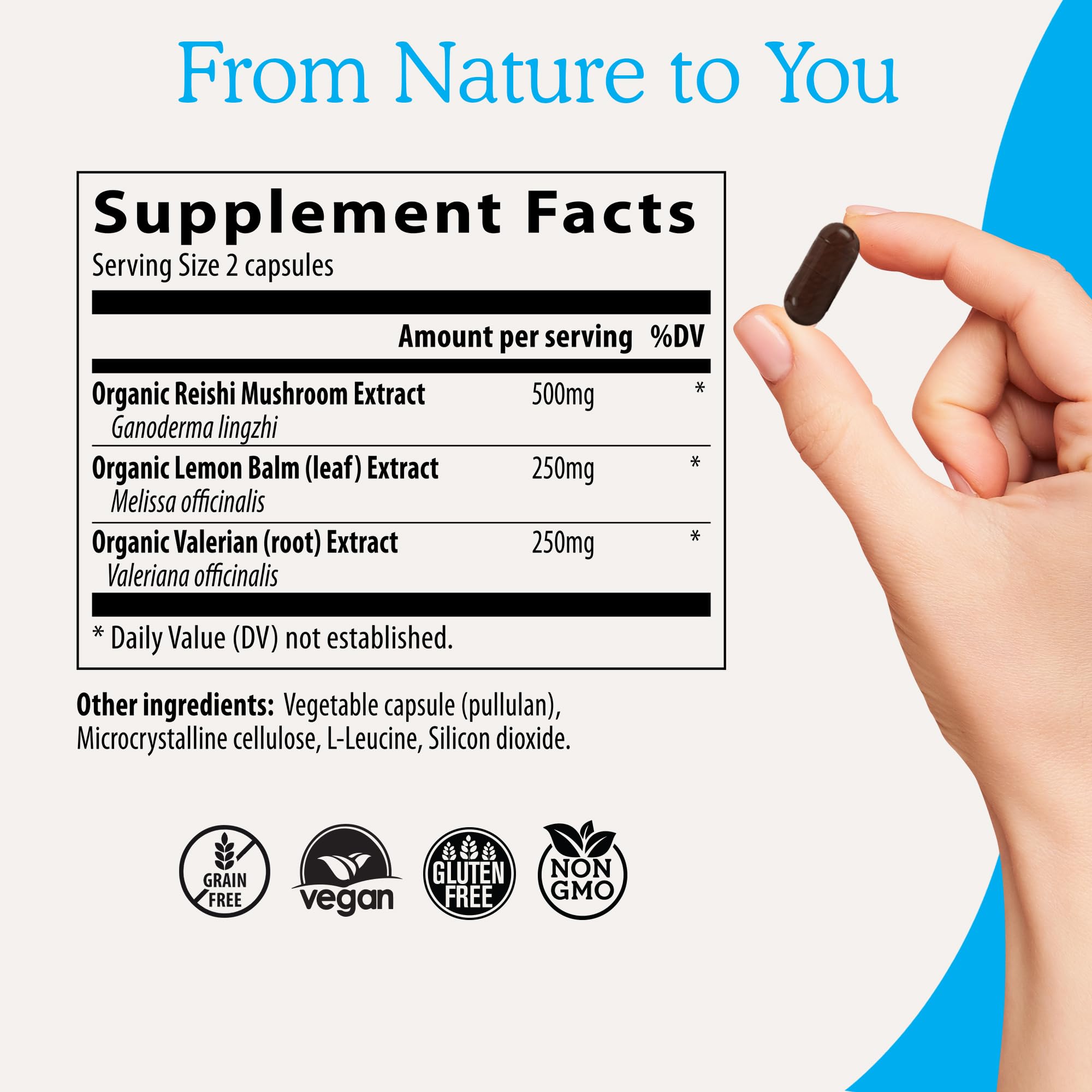 Foto 4 pulgar | Suplemento De Hongos Reishi Real Mushrooms Realrest 60 Cápsulas - Venta Internacional.