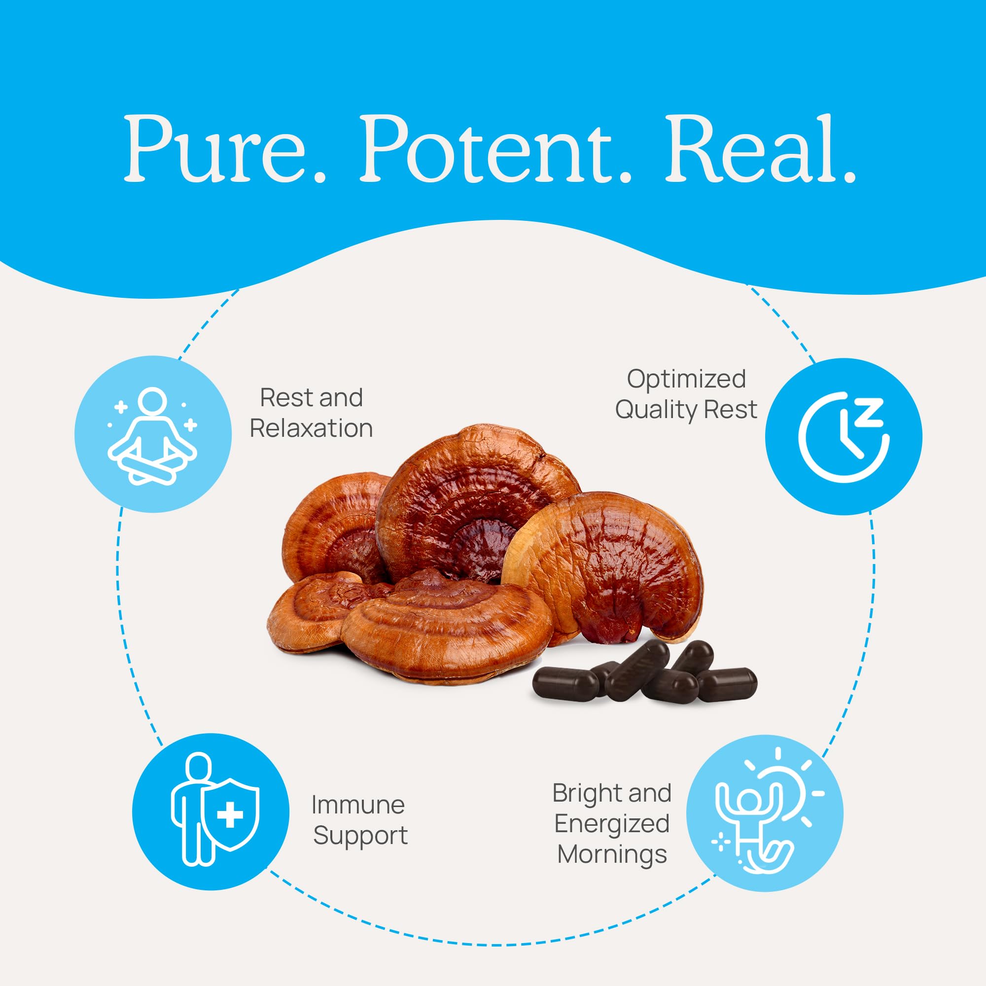 Foto 5 pulgar | Suplemento De Hongos Reishi Real Mushrooms Realrest 60 Cápsulas - Venta Internacional.