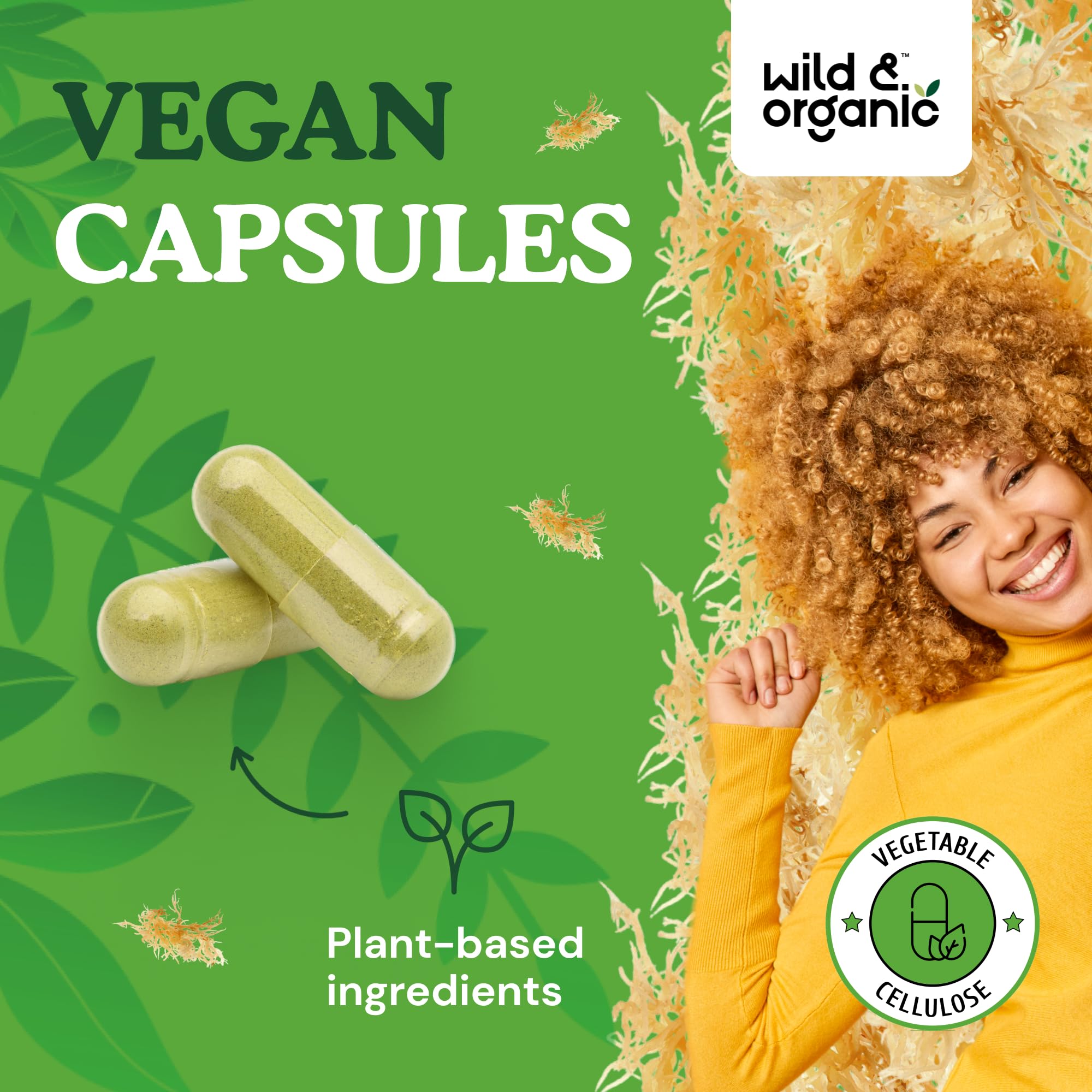 Foto 5 pulgar | Suplemento De Musgo Marino Salvaje Y Orgánico En Cápsulas 180 Veganas - Venta Internacional.