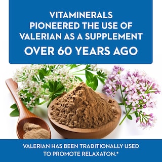 Foto 3 | Suplemento Vitaminerals 33+ Baldrian Plus Relaxing 120 Comprimidos - Venta Internacional.