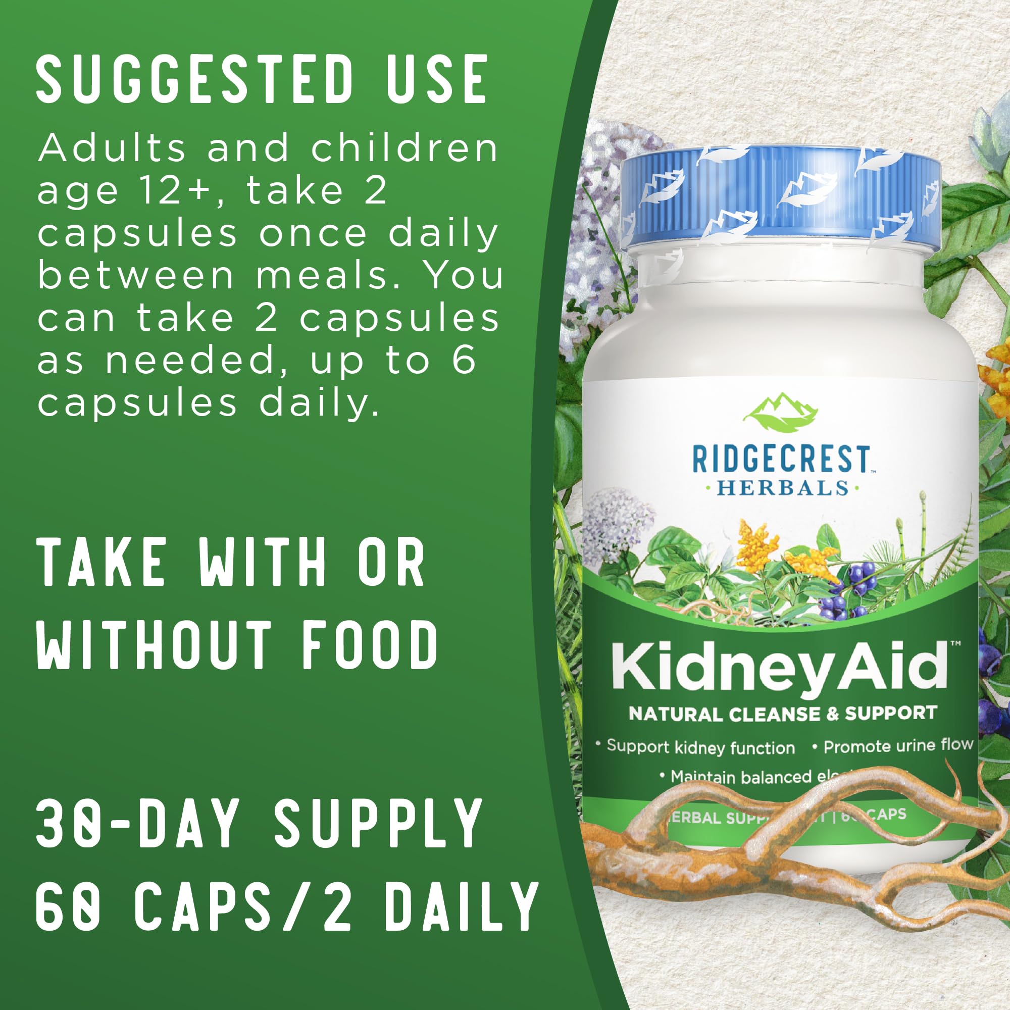 Foto 4 pulgar | Suplemento Ridgecrest Herbals Kidneyaid 60 Cápsulas Veganas - Venta Internacional.