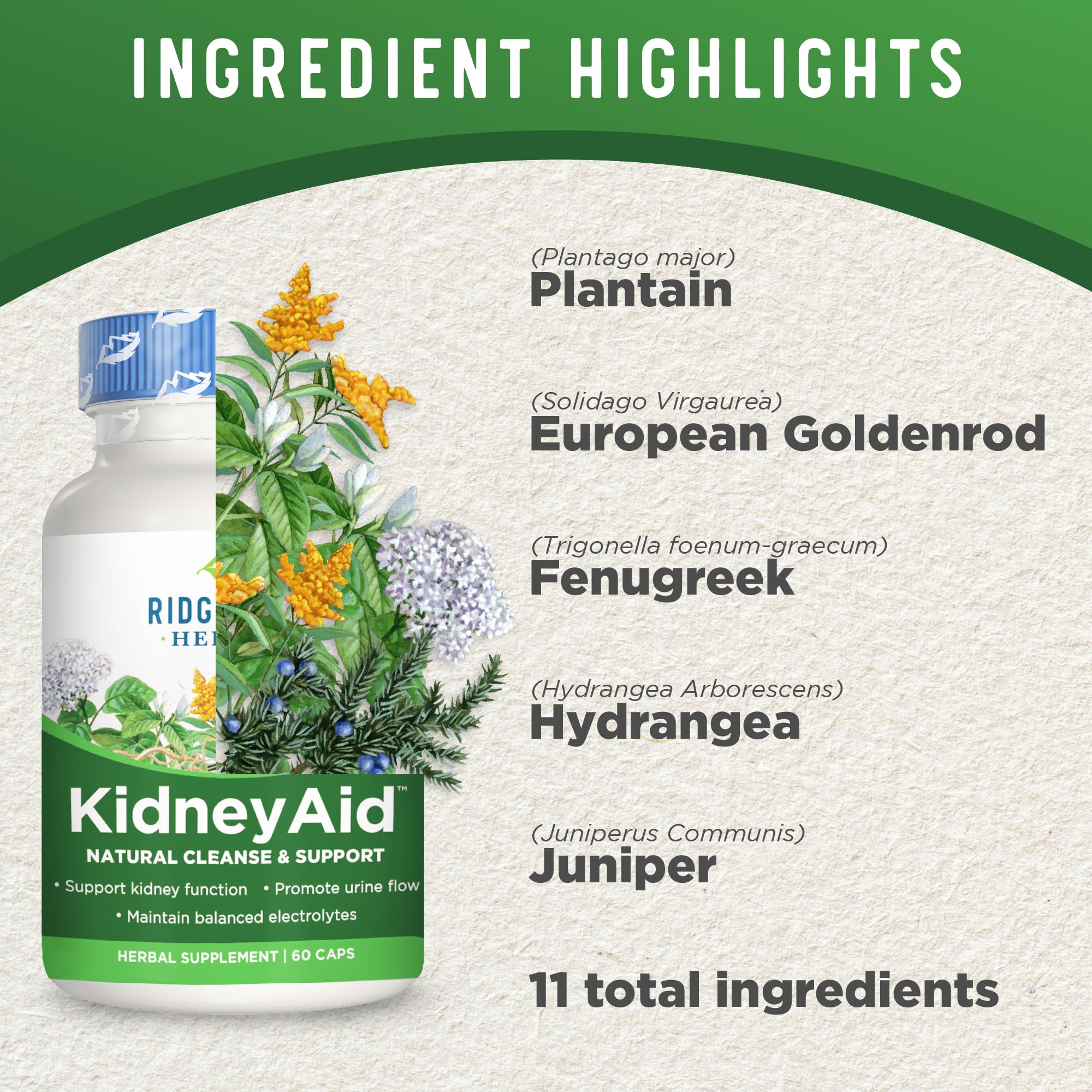 Foto 5 pulgar | Suplemento Ridgecrest Herbals Kidneyaid 60 Cápsulas Veganas - Venta Internacional.