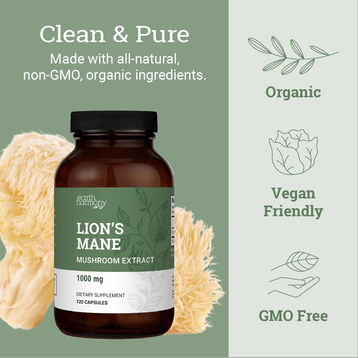 Foto 4 | Suplemento Earth Harmony Naturals Organic Lions Mane 1000 Mg - Venta Internacional.