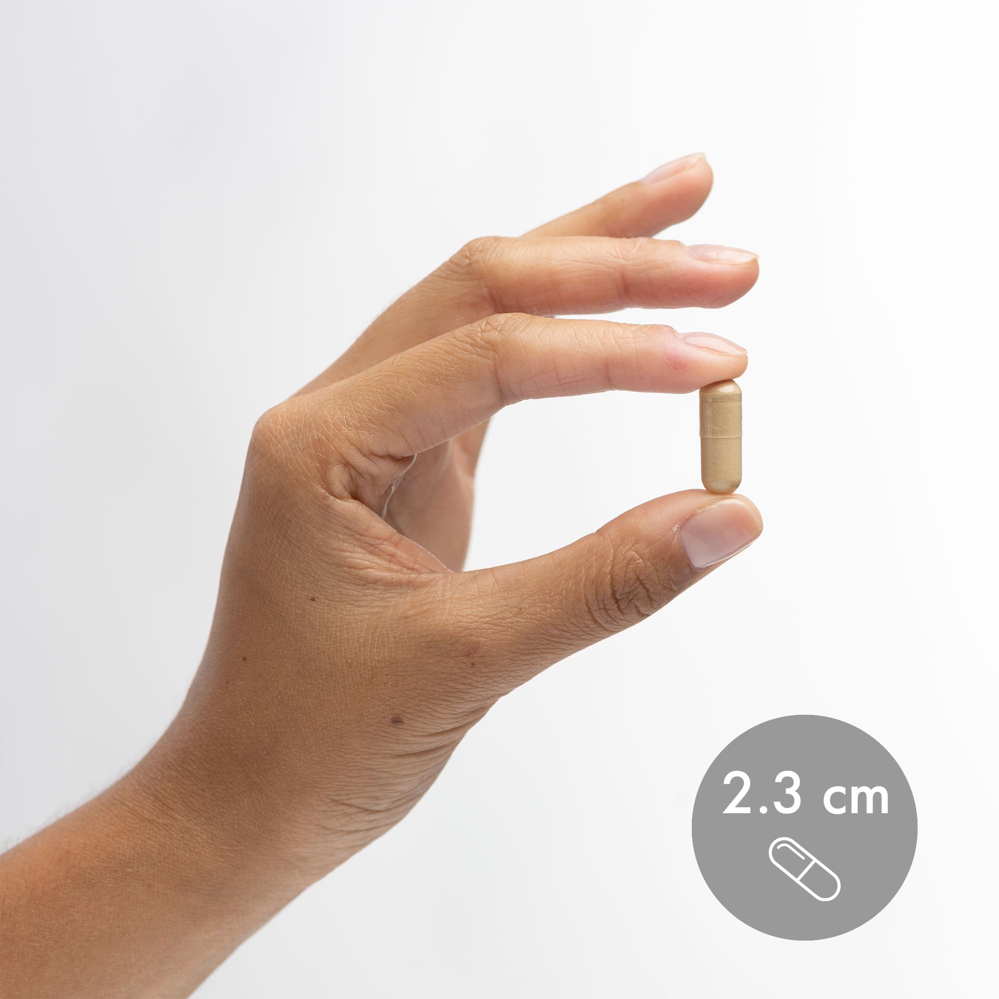 Foto 6 | Suplemento Del Complejo De Hongos Fermentados Dr. Mercola 90 Cápsulas - Venta Internacional.
