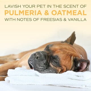 Foto 7 | Acondicionador Tropiclean Spa Lavish Nourish 3,78 L Para Mascotas - Venta Internacional.