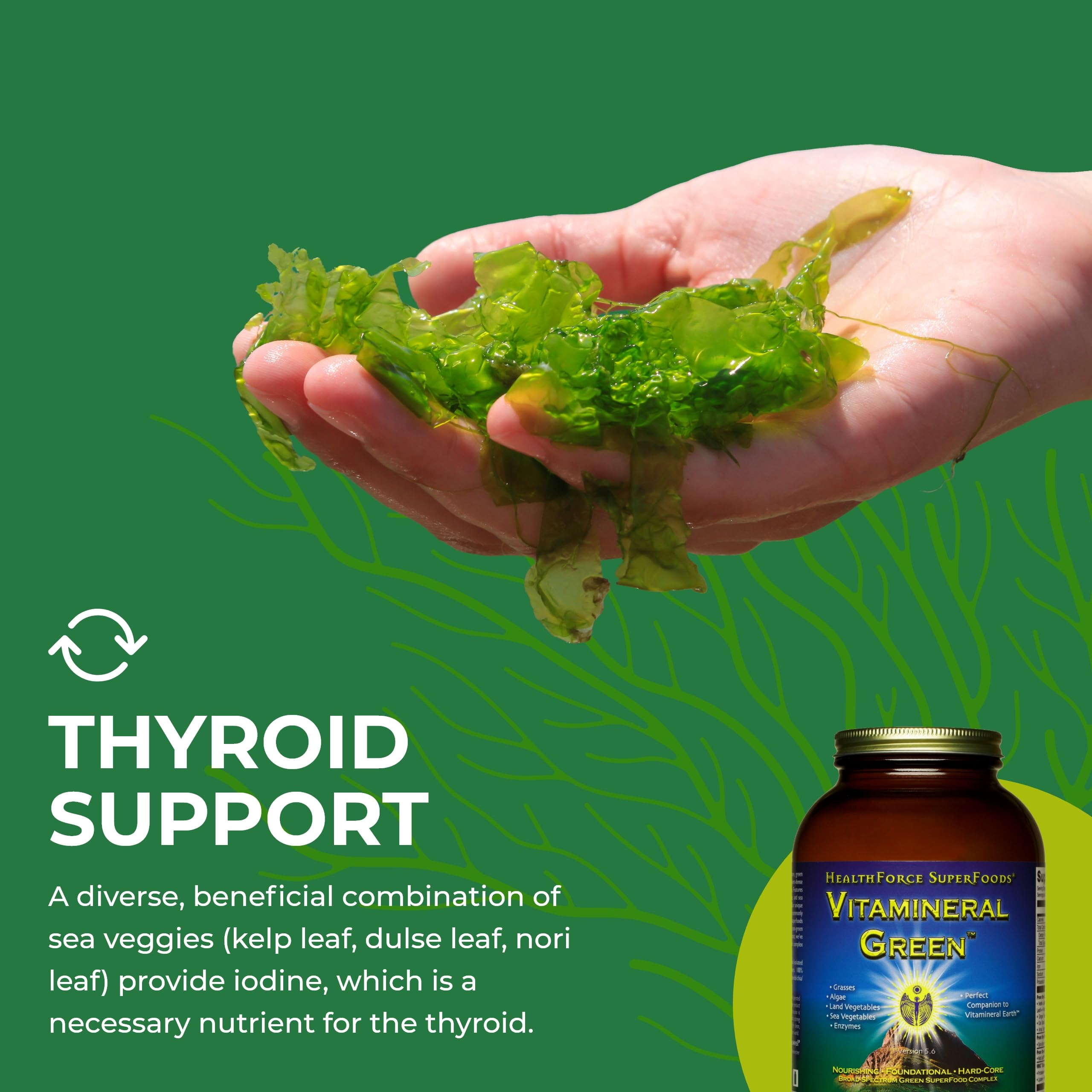 Foto 7 pulgar | Suplemento Healthforce Superfoods Vitamineral Green 500 G - Venta Internacional.
