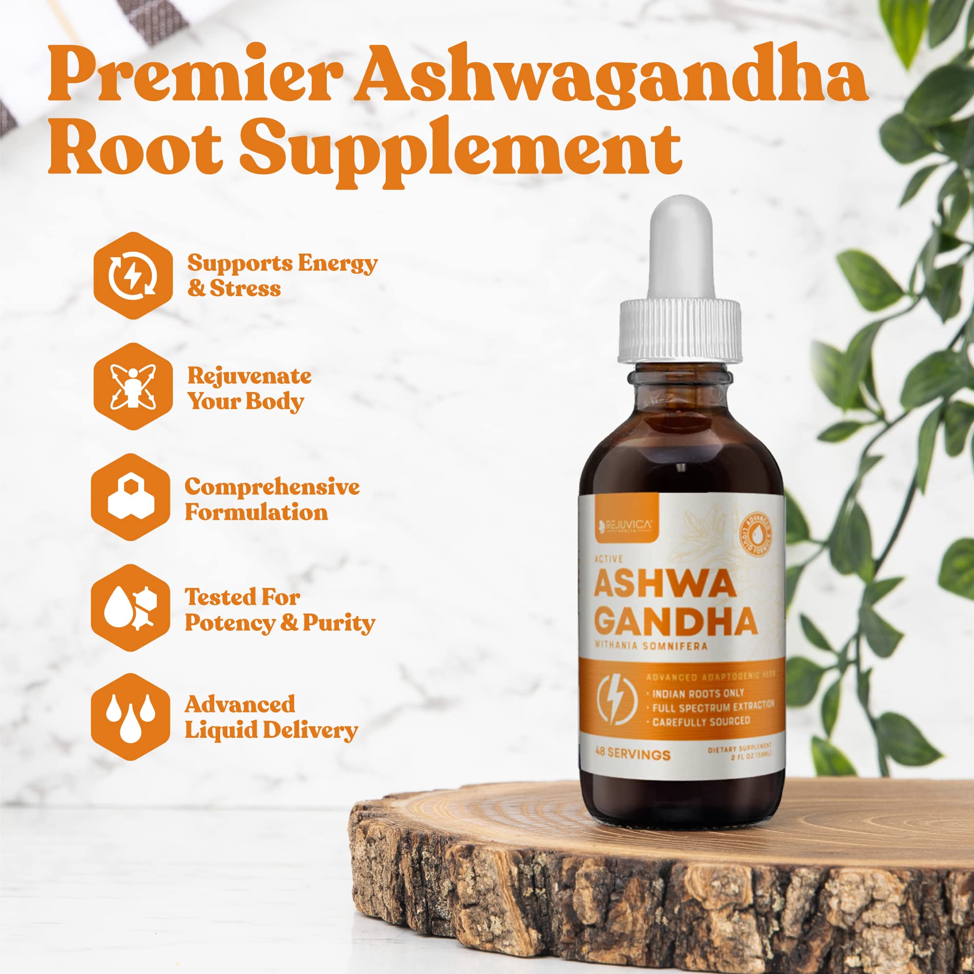 Foto 3 pulgar | Suplemento Rejuvica Health Active Ashwagandha, 60 Ml, 48 Porciones - Venta Internacional.