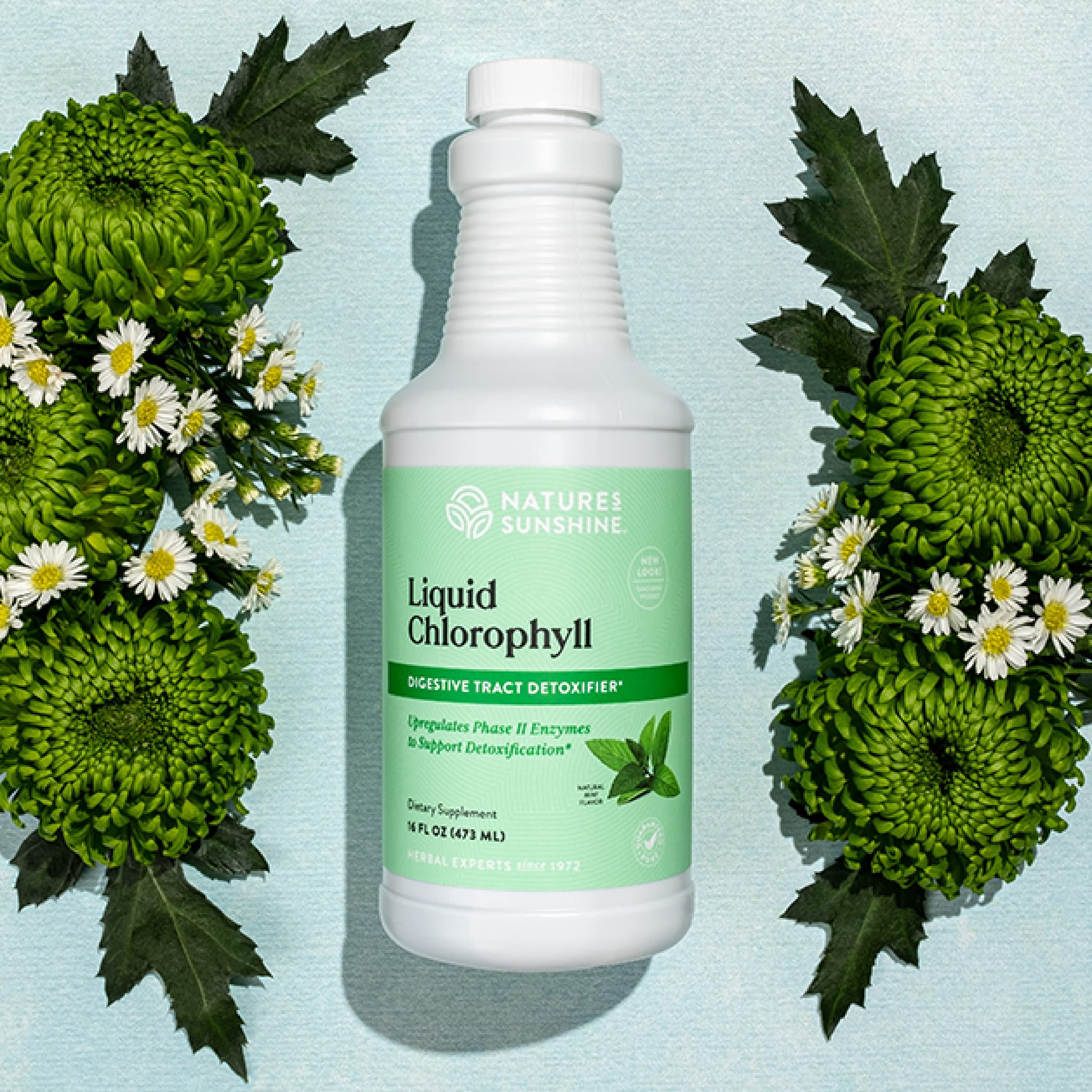 Foto 2 | Suplemento De Clorofila Líquida Nature's Sunshine, 473 Ml - Venta Internacional.