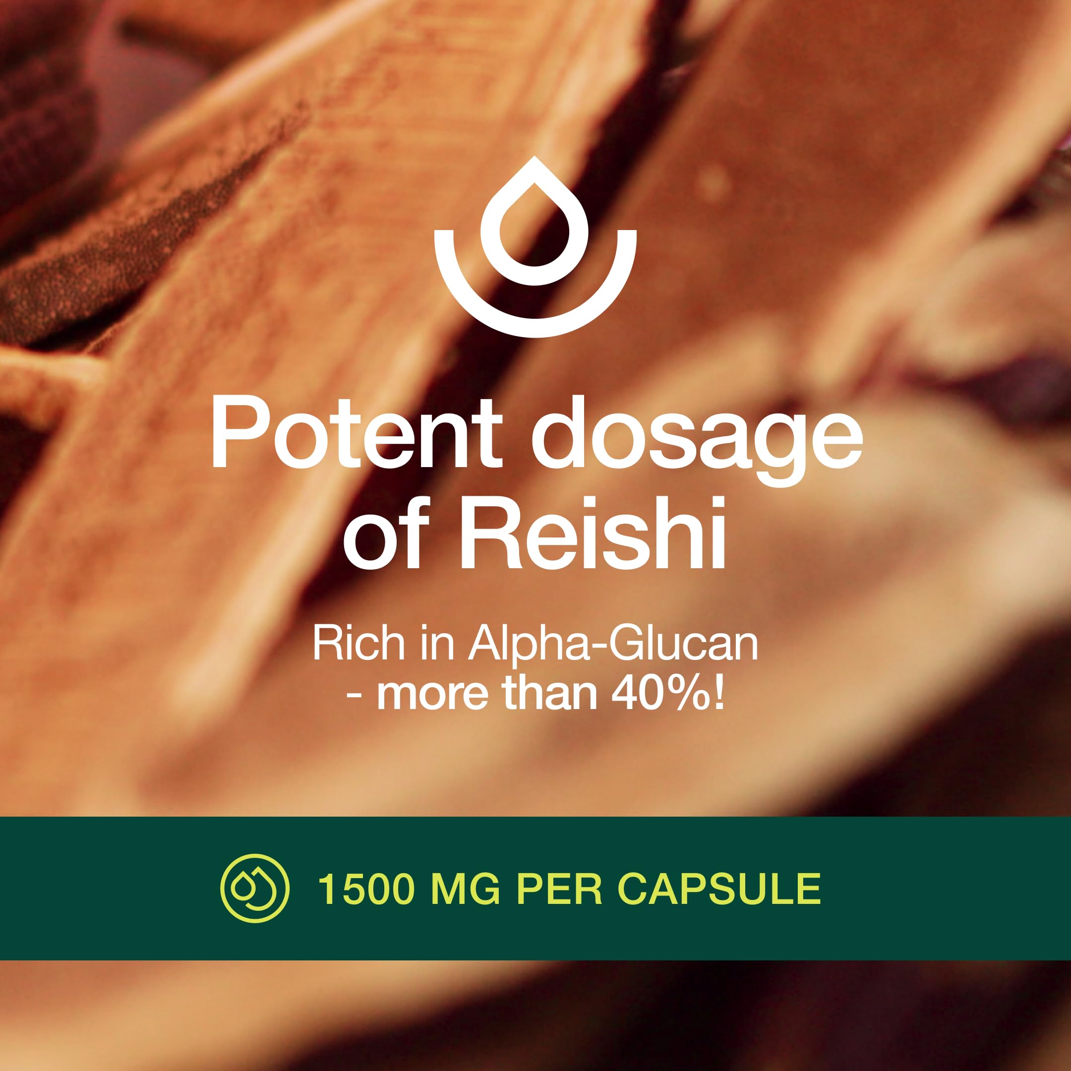 Foto 6 pulgar | Suplemento Fresh Nutrition, Hongo Reishi, 1500 Mg, 90 Cápsulas - Venta Internacional.