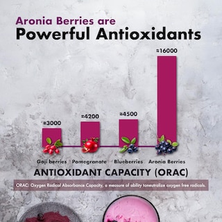Foto 5 | Suplemento Samsara Herbs, Extracto De Bayas De Aronia 20:1, 120 Cápsulas - Venta Internacional.