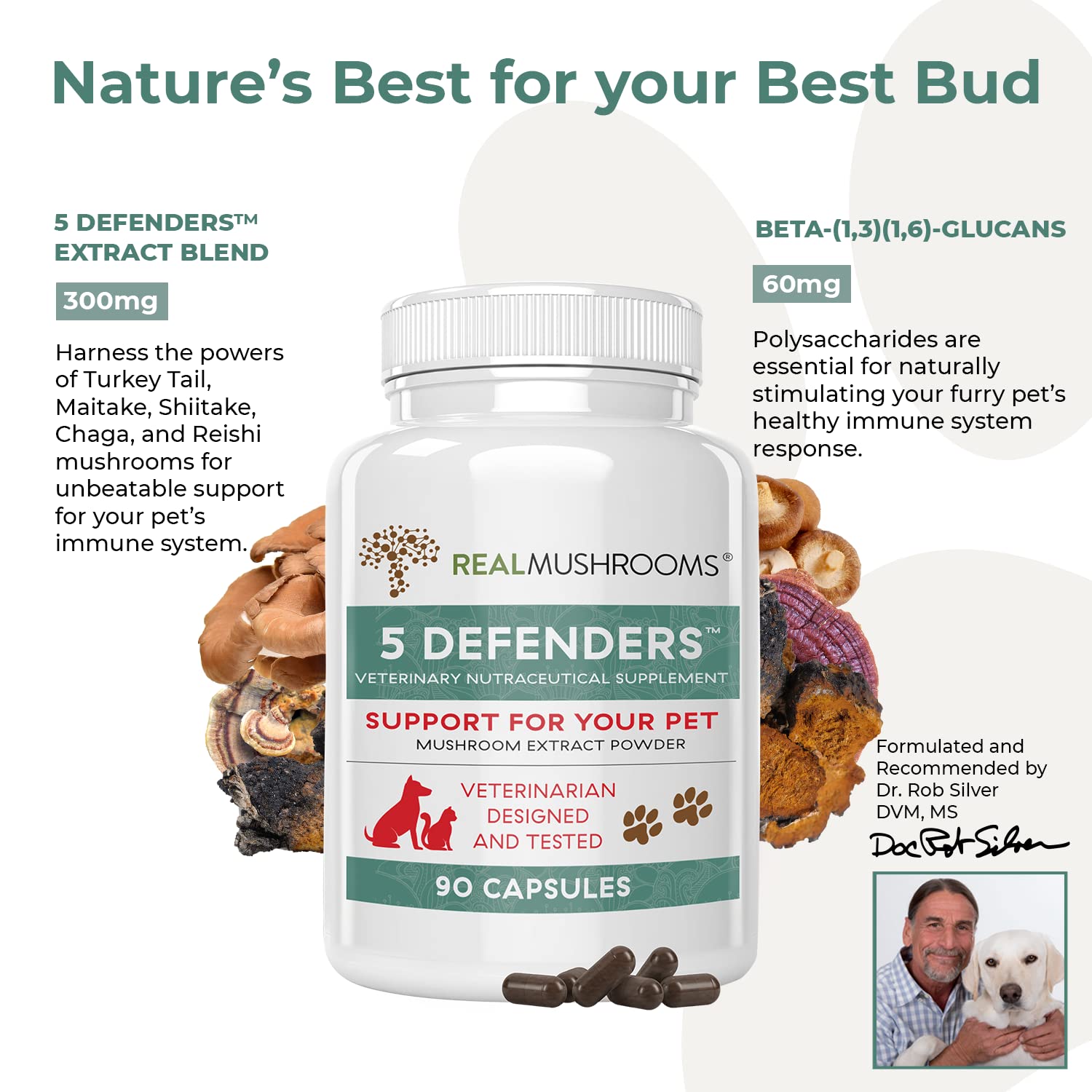 Foto 4 pulgar | Suplementos De Hongos: 5 Defensores De Las Vitaminas Para Perros Y Gatos - Venta Internacional.