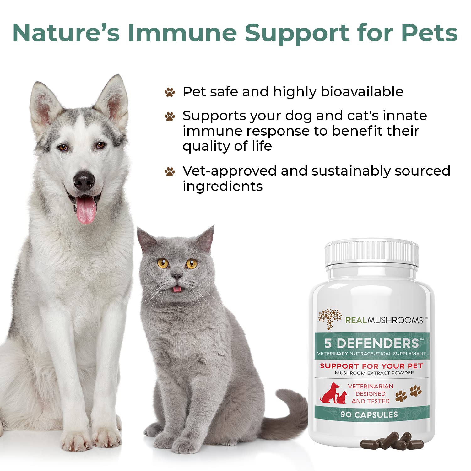 Foto 4 | Suplementos De Hongos: 5 Defensores De Las Vitaminas Para Perros Y Gatos - Venta Internacional.