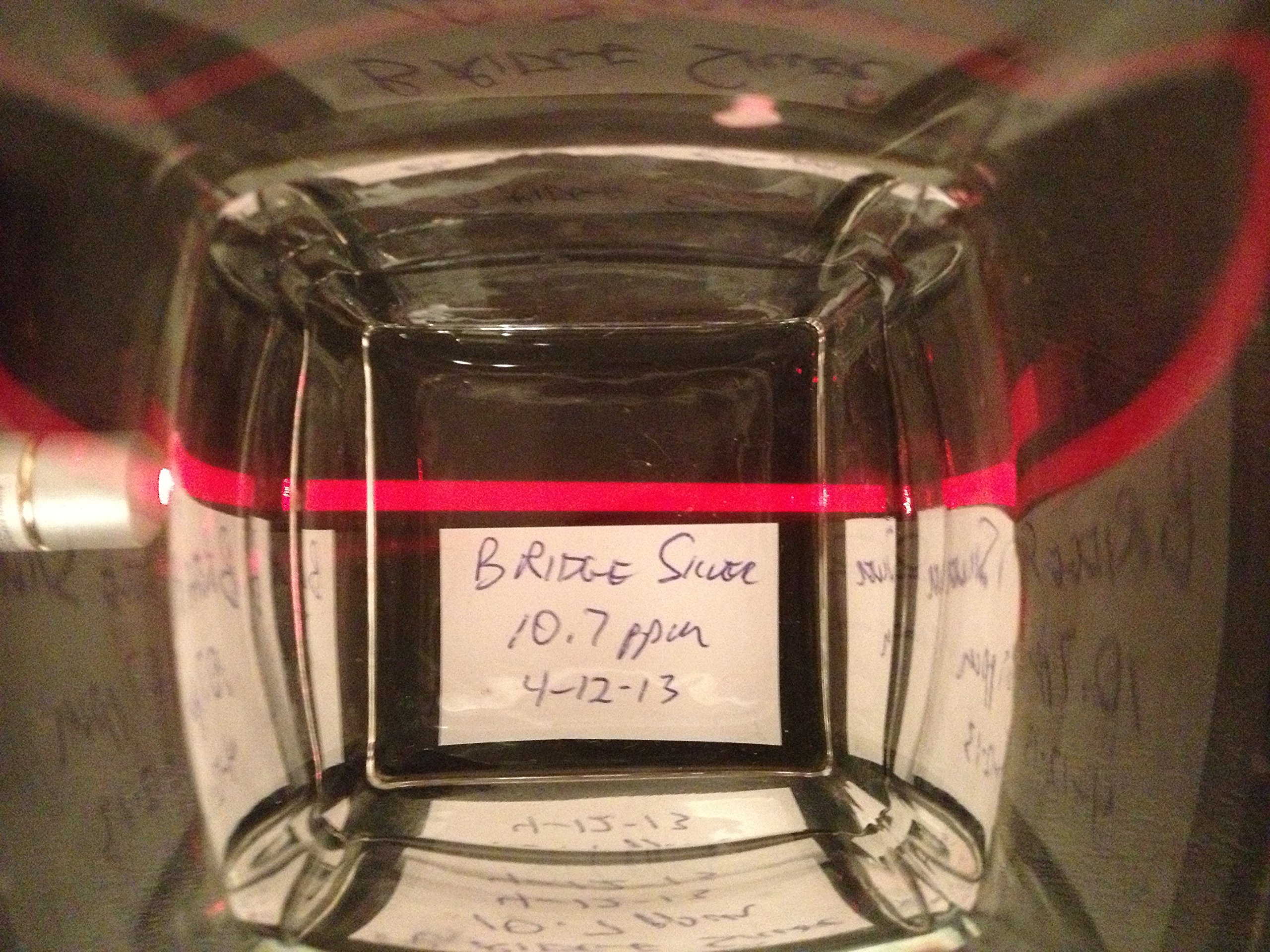 Foto 5 | Suplemento De Plata Coloidal Blue Ridge Silver, 10 Ppm, 946 Ml - Venta Internacional.