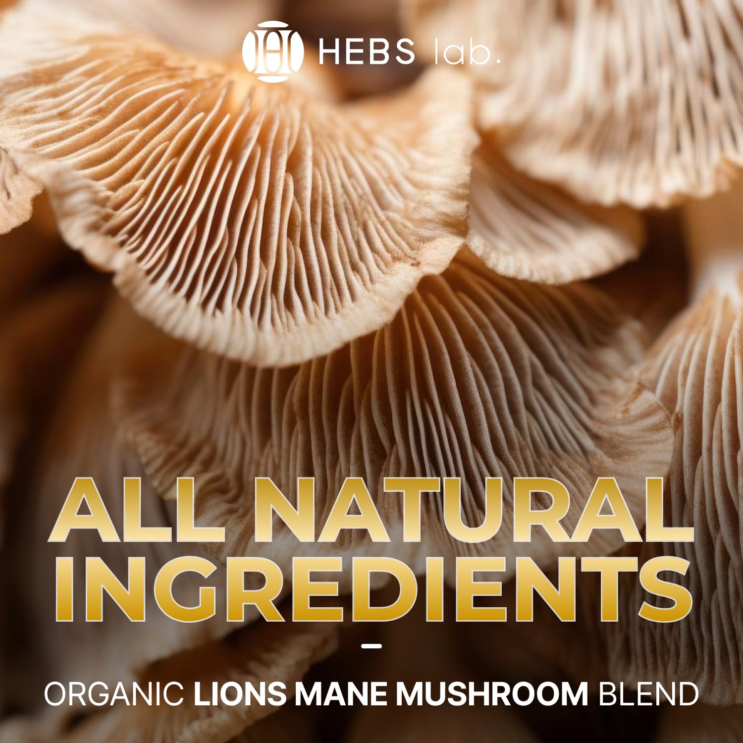 Foto 5 pulgar | Suplemento De Extracto De Hongos Lions Mane, 120 Ml, Orgánico, Ee. Uu. - Venta Internacional.